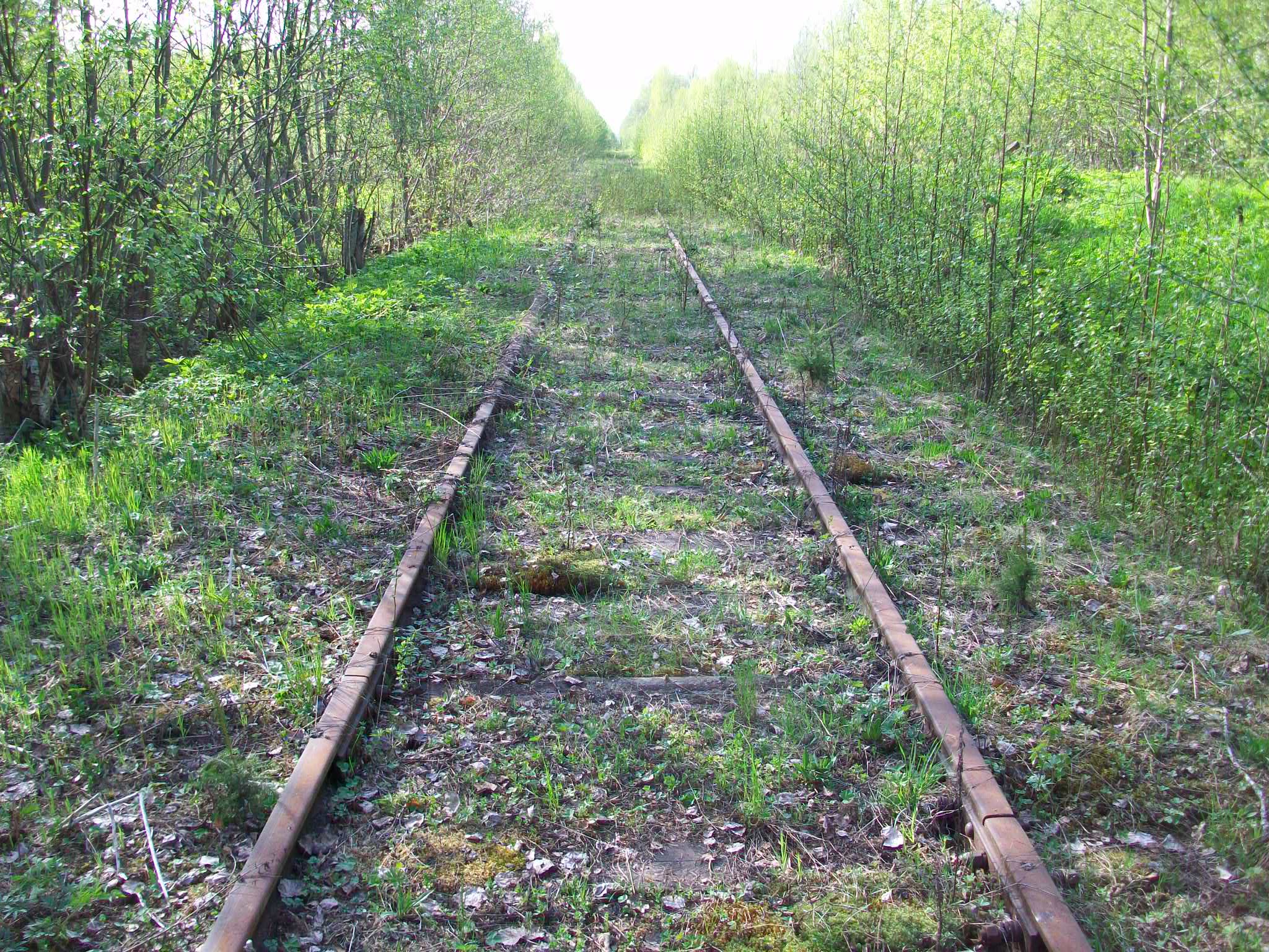 Железнодорожная линия Валдай — Крестцы 
  —  фотографии, сделанные в 2015 году (часть 48)