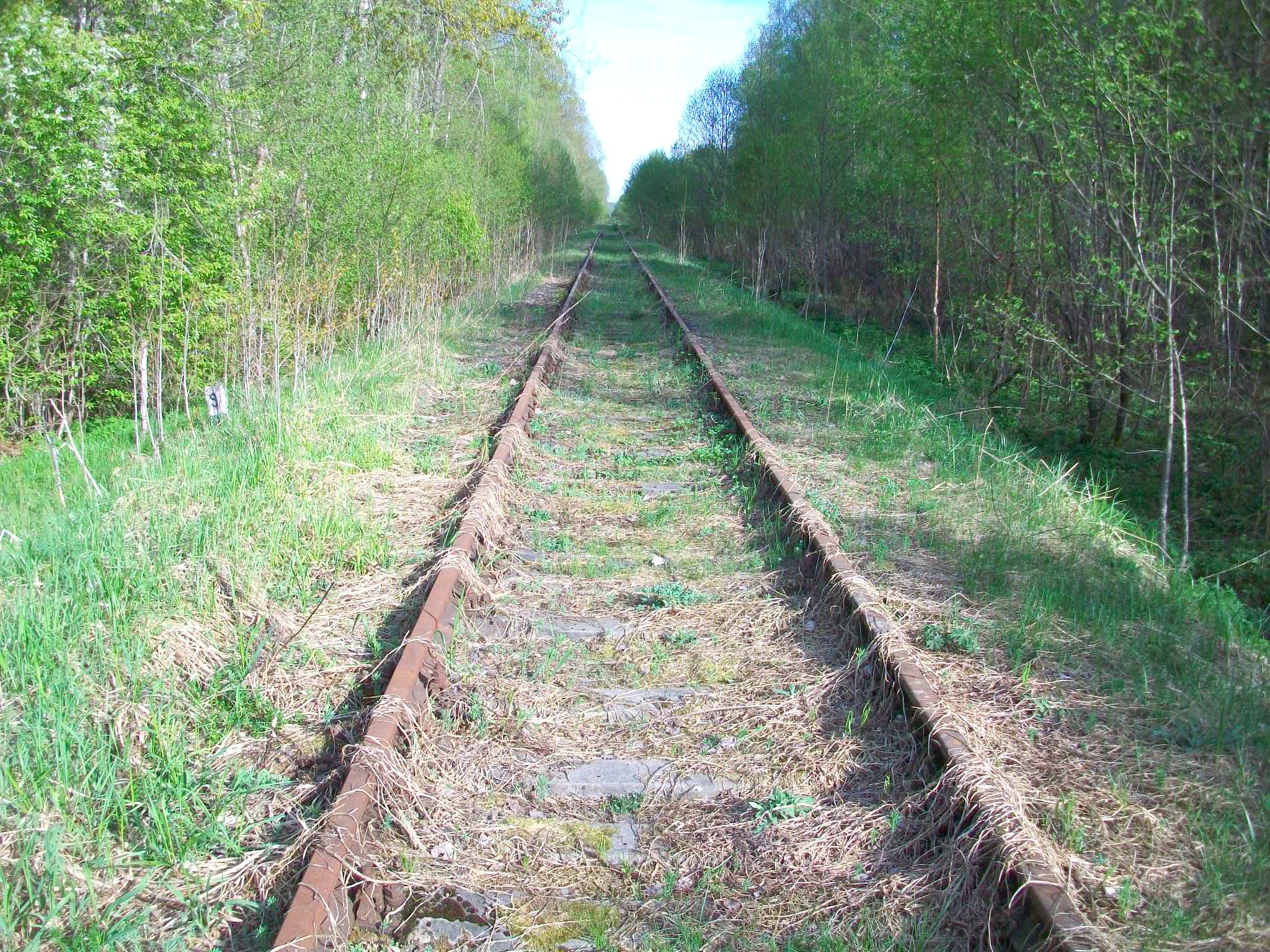 Железнодорожная линия Валдай — Крестцы 
  —  фотографии, сделанные в 2015 году (часть 49)