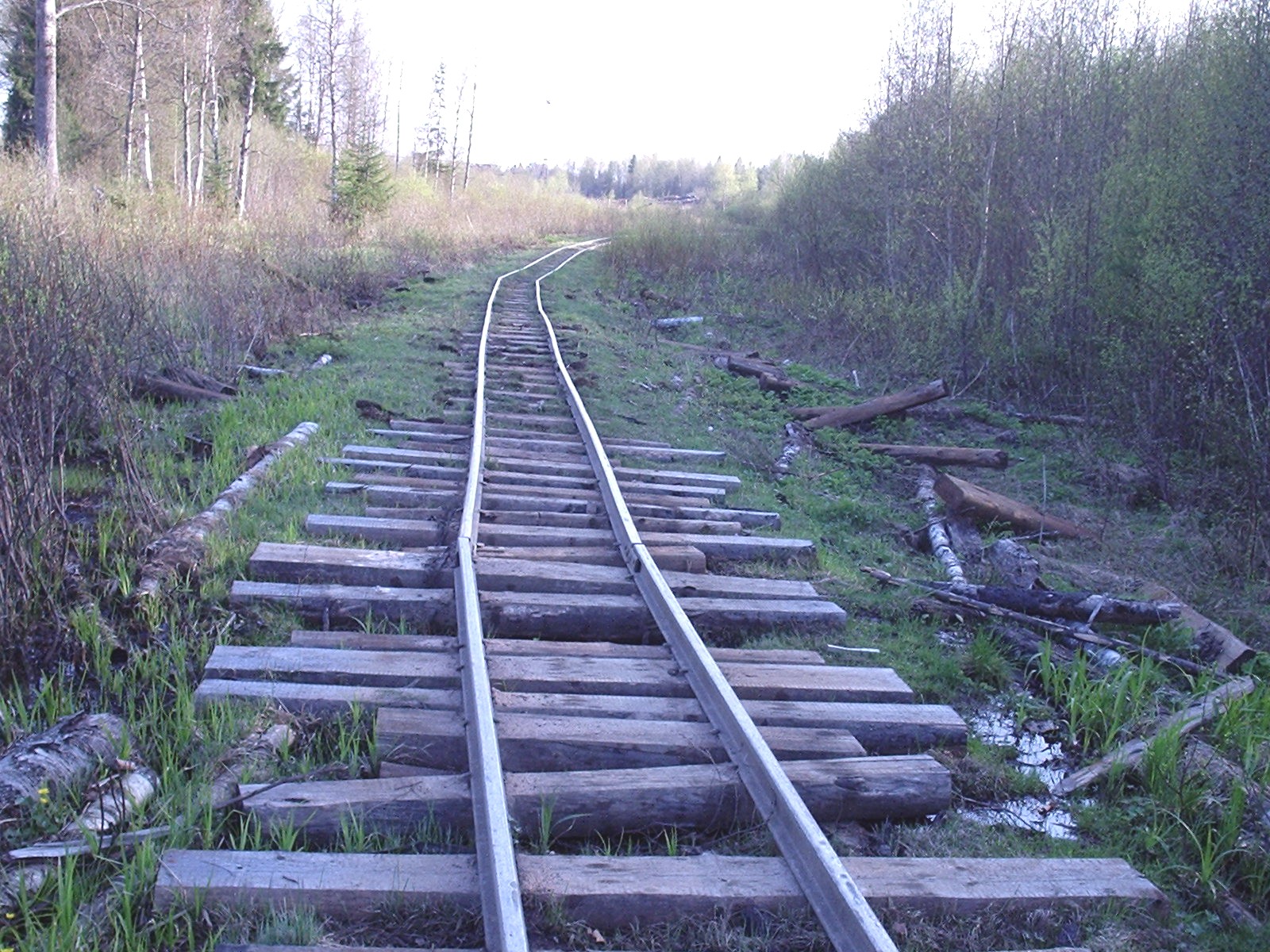 Кургальская узкоколейная железная дорога — фотографии, сделанные в 2005 году (часть 7)
