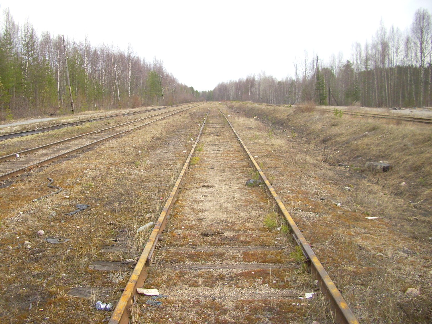 Железнодорожная линия Брусничная — Лендеры
  —  фотографии, сделанные в 2011 году (часть 3)