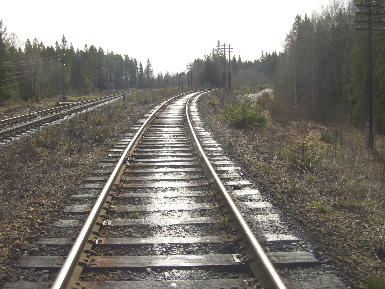 Железнодорожная линия Янисъярви —  Лодейное Поле
  —  фотографии, сделанные в 2011 году (часть 1)