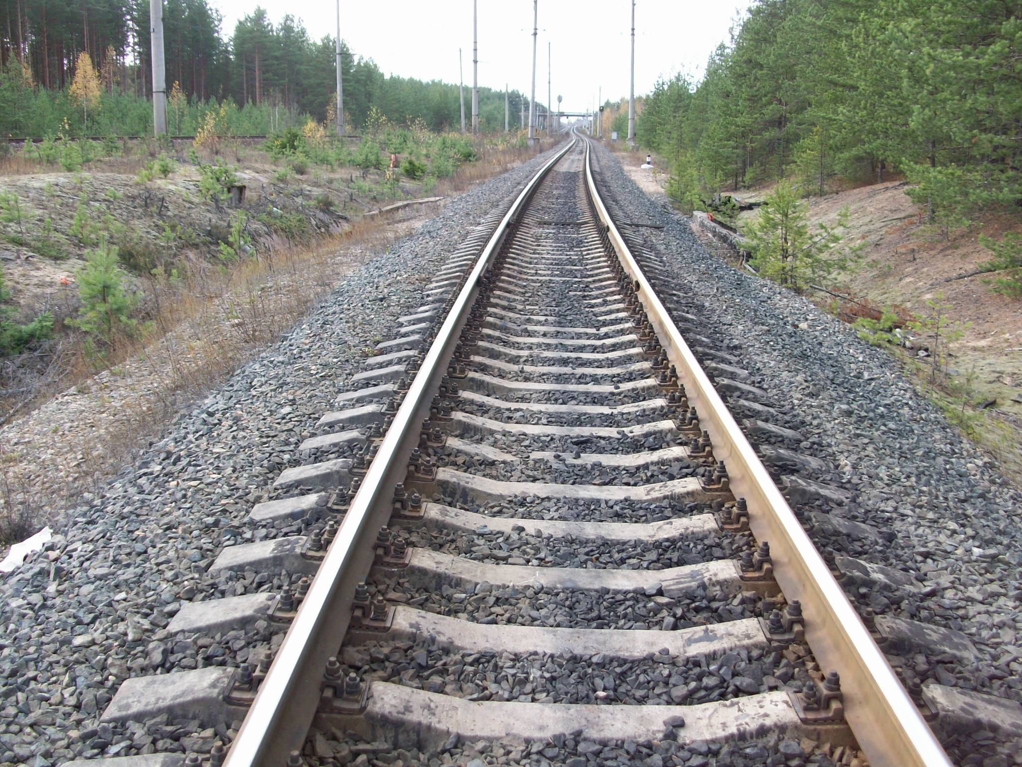 Железнодорожная линия Янисъярви —  Лодейное Поле
  —  фотографии, сделанные в 2015 году 
