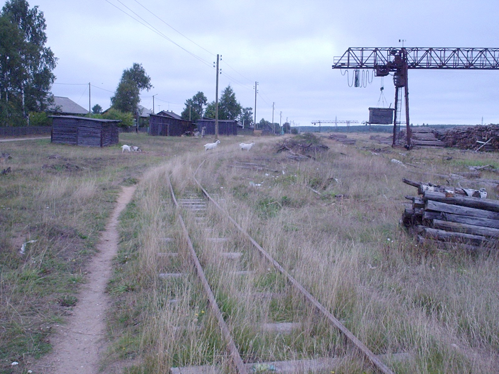 Пятовская узкоколейная железная дорога
  —  фотографии, сделанные в 2005 году (часть 1)