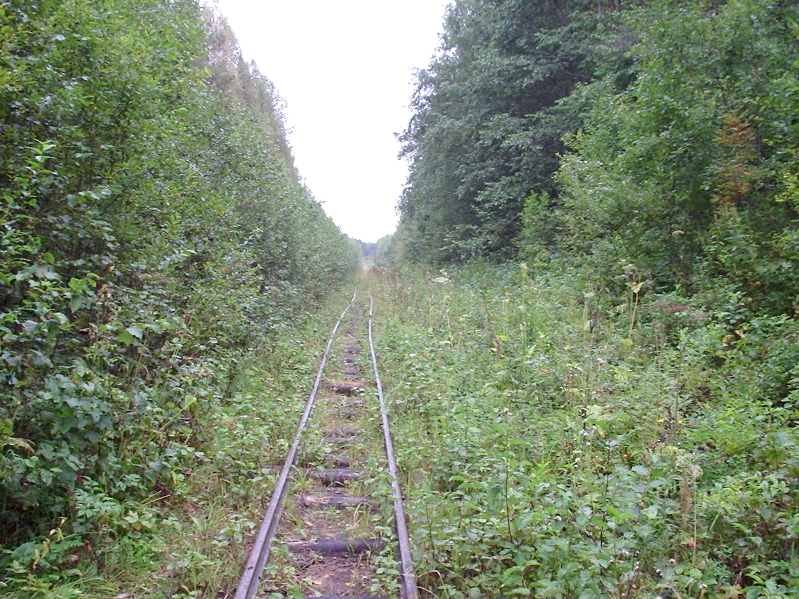 Пятовская узкоколейная железная дорога
  —  фотографии, сделанные в 2005 году (часть 4)