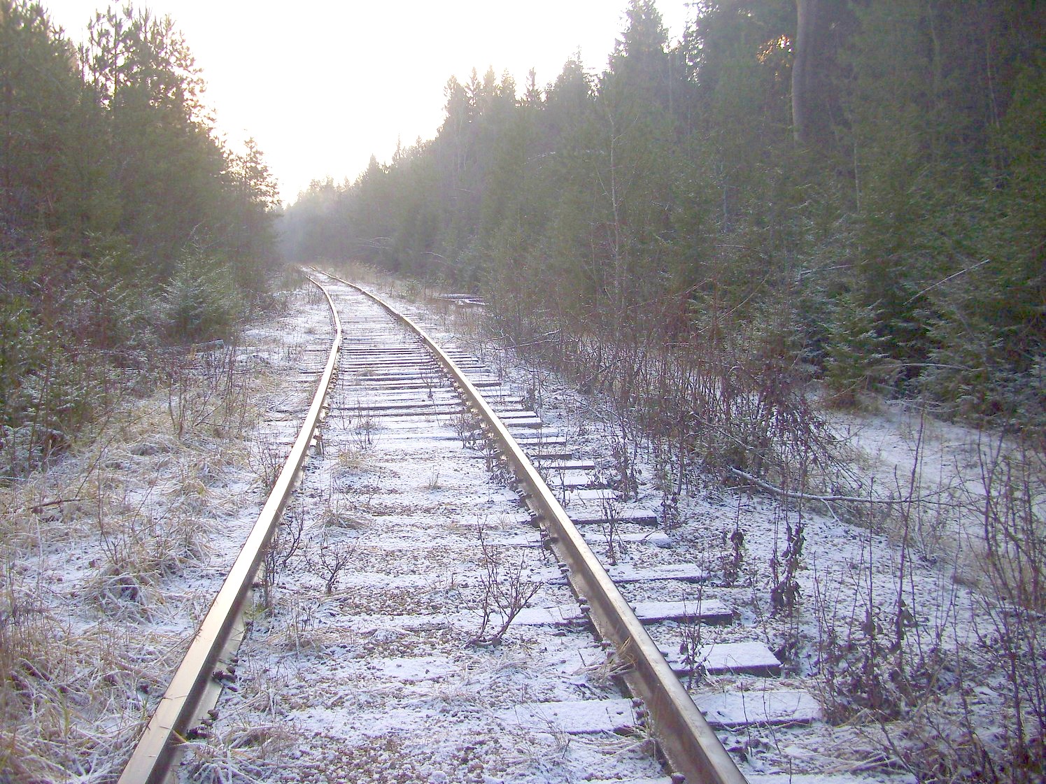 Железнодорожная линия Тучково — Морево — Орешкинский комбинат  —  фотографии, сделанные в 2011 году (часть 8)