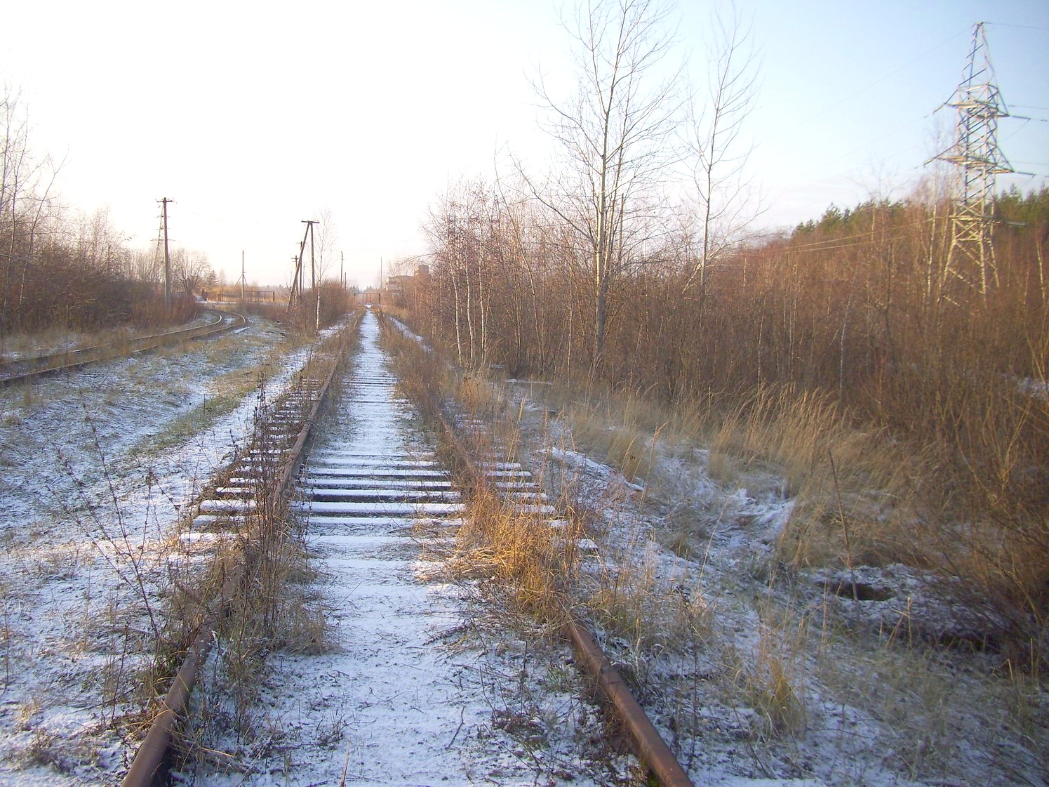 Железнодорожная линия Тучково — Морево — Орешкинский комбинат  —  фотографии, сделанные в 2011 году (часть 10)