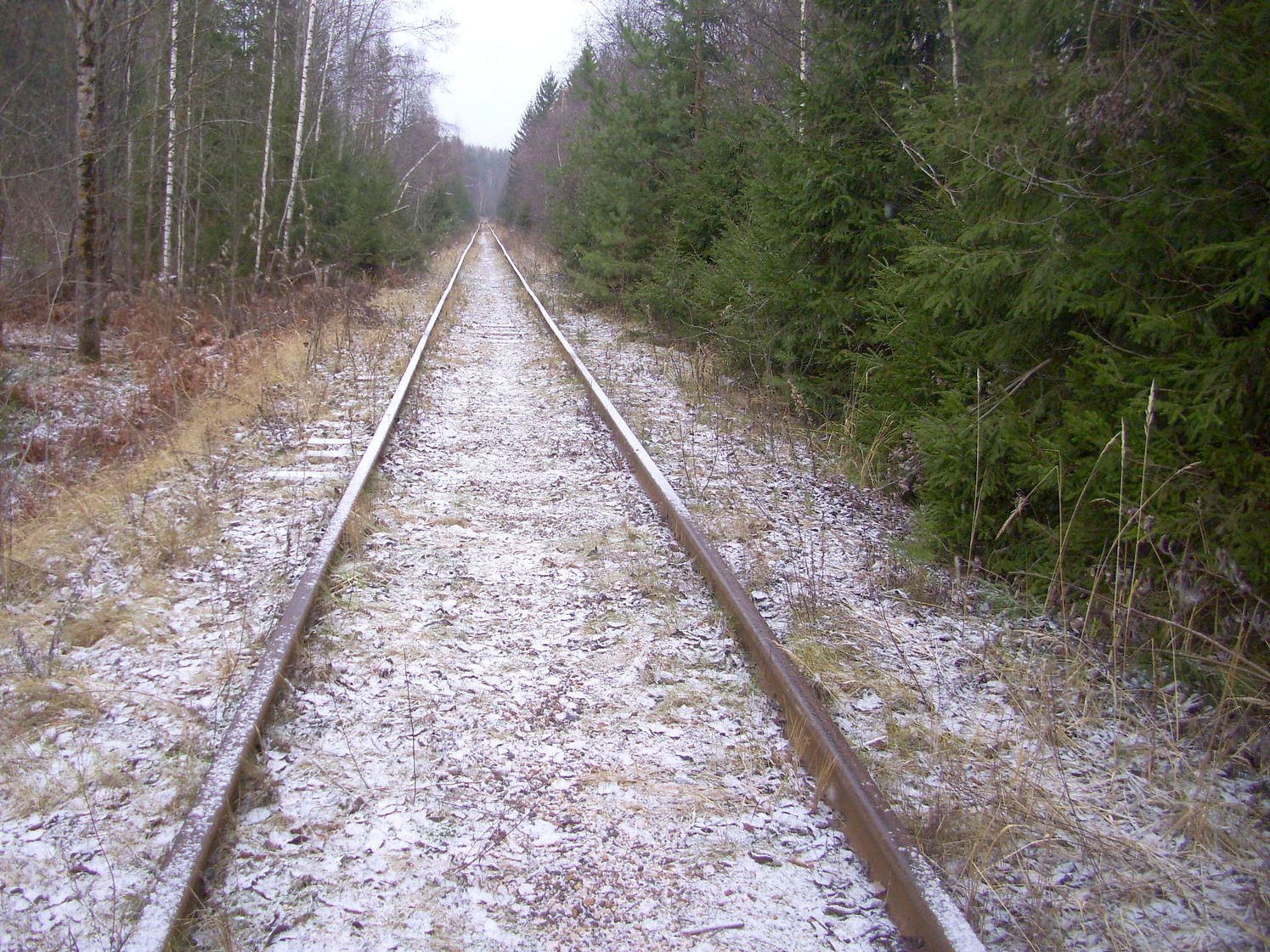 Железнодорожная линия Тучково — Морево — Орешкинский комбинат  —  фотографии, сделанные в 2011 году (часть 4)