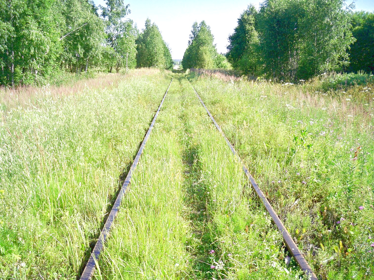 Железнодорожная линия Тучково — Морево — Орешкинский комбинат  —  фотографии, сделанные в 2013 году (часть 2)