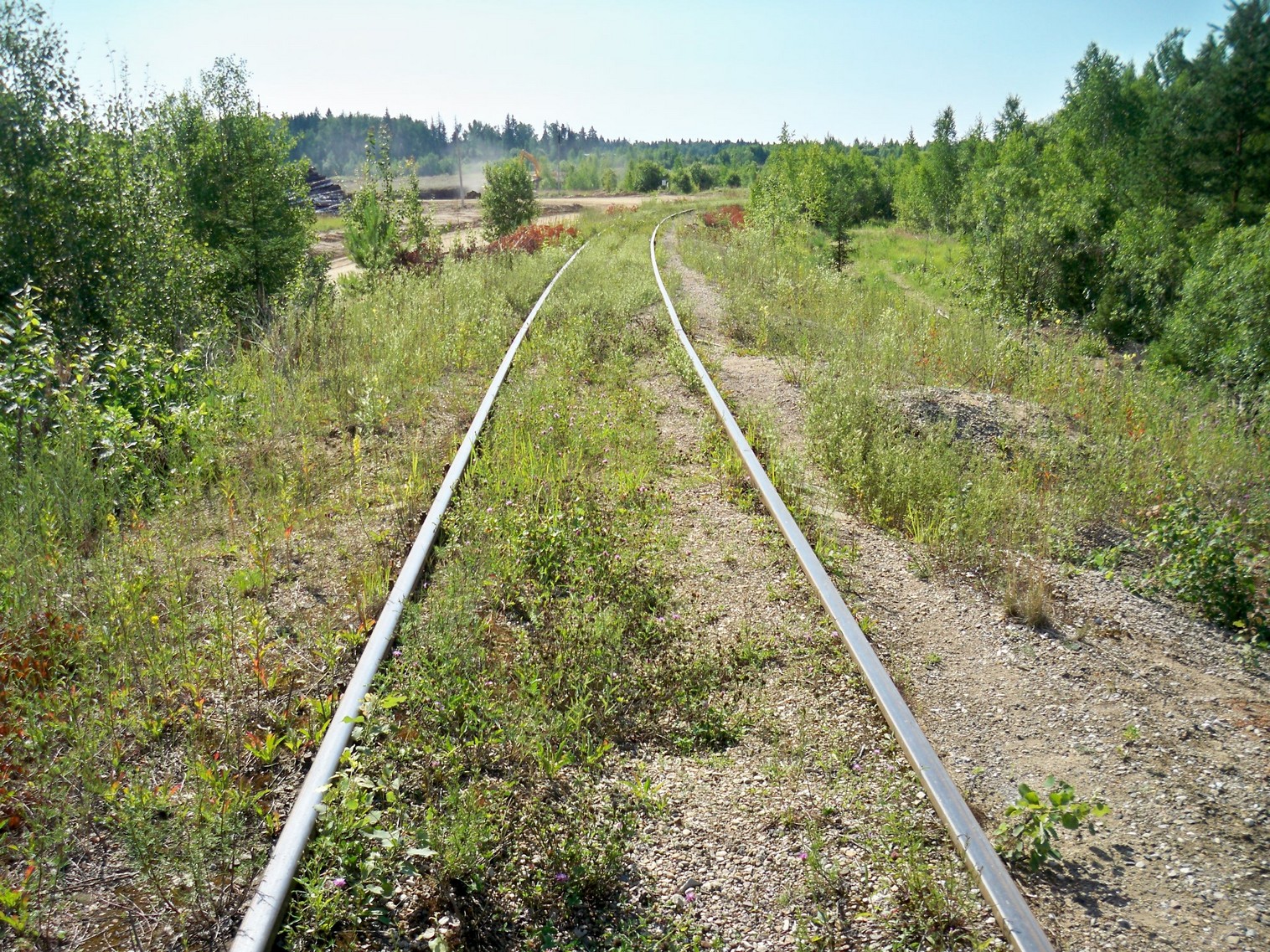Железнодорожная линия Тучково — Морево — Орешкинский комбинат  —  фотографии, сделанные в 2013 году (часть 3)