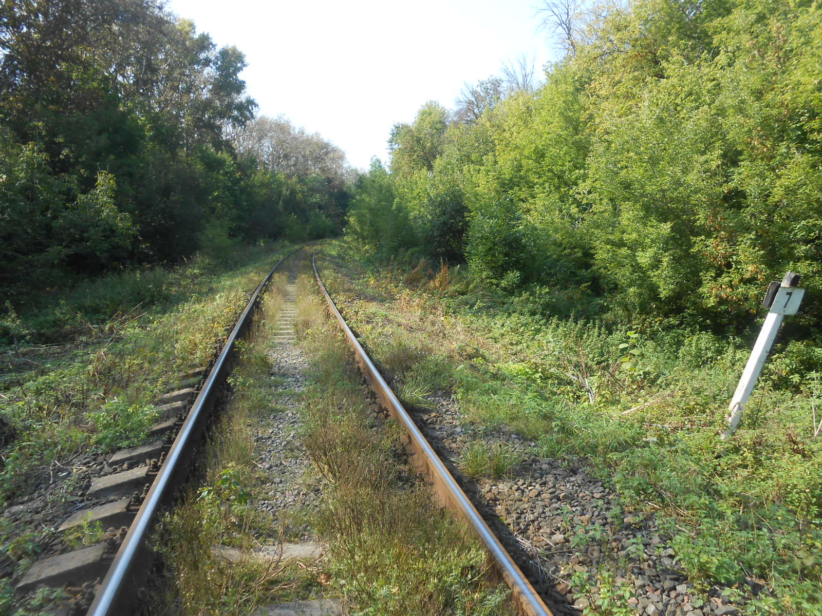 Железнодорожная линия Голутвин — Озёры — фотографии, сделанные в 2017 году (часть 4)