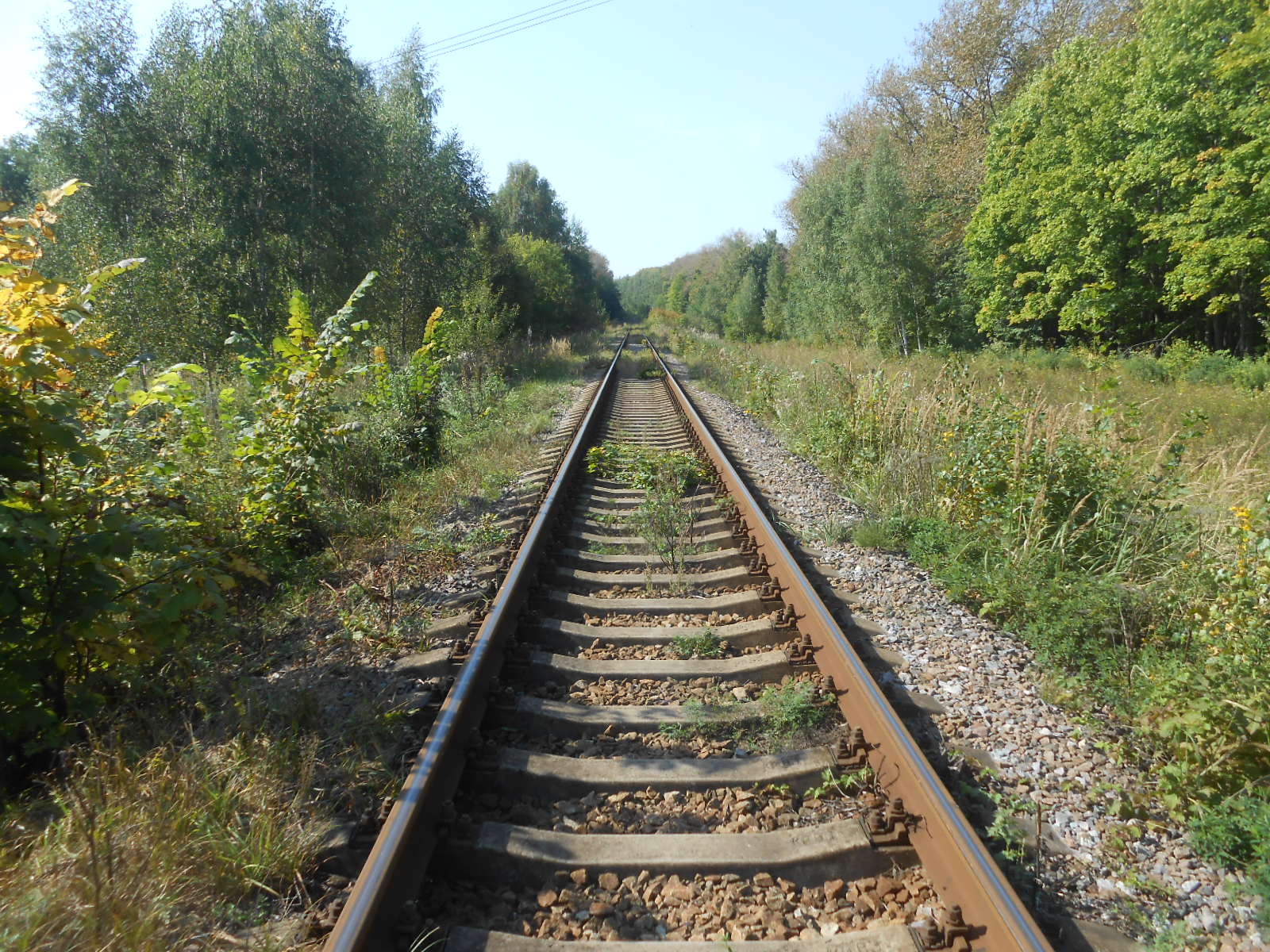Железнодорожная линия Голутвин — Озёры — фотографии, сделанные в 2017 году (часть 5)