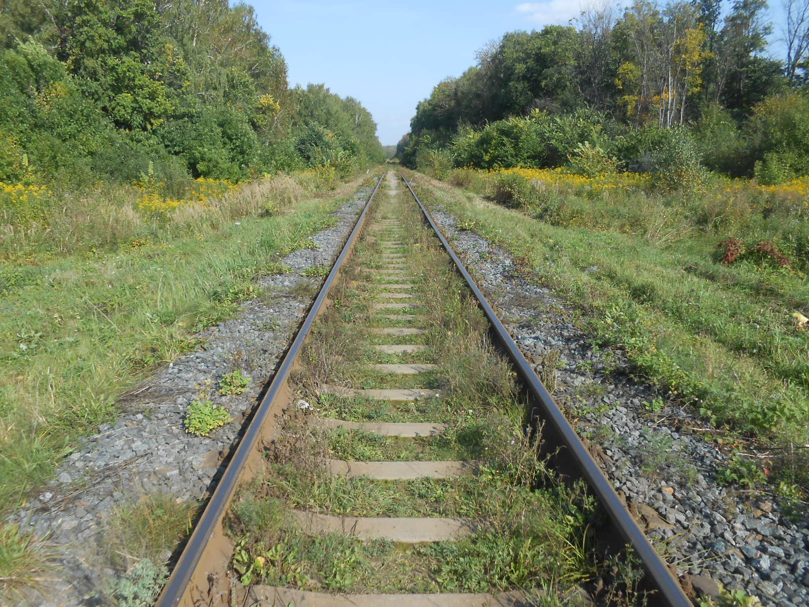 Железнодорожная линия Голутвин — Озёры — фотографии, сделанные в 2017 году (часть 6)