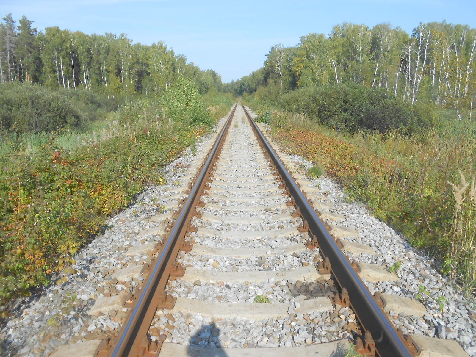 Железнодорожная линия Голутвин — Озёры — фотографии, сделанные в 2017 году (часть 7)