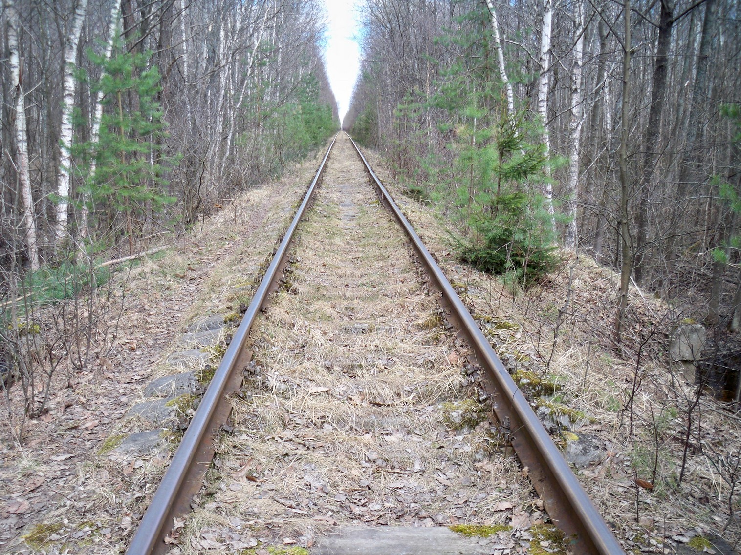Железнодорожная линия Серпухов  — Заводская (Протвино) — фотографии, сделанные в 2013 году (часть 6)