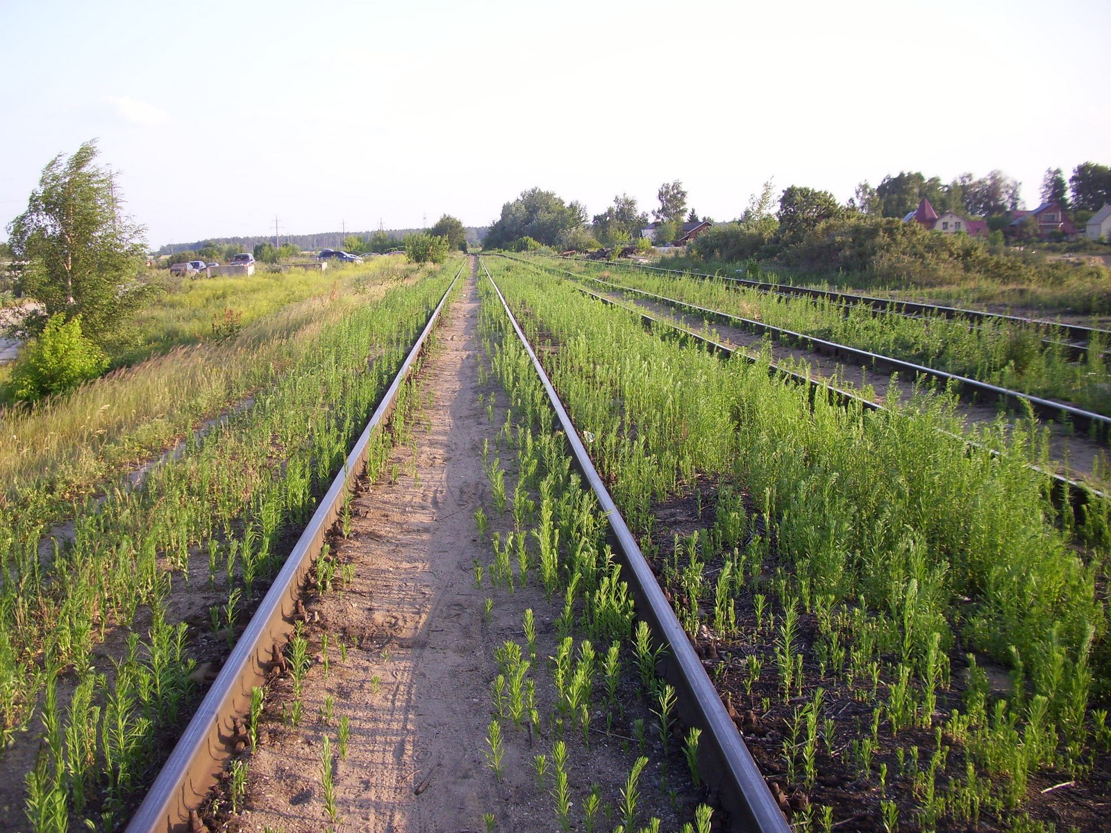 Железнодорожная линия Купавна — Старая Купавна
  —  фотографии, сделанные в 2011 году (часть 3)