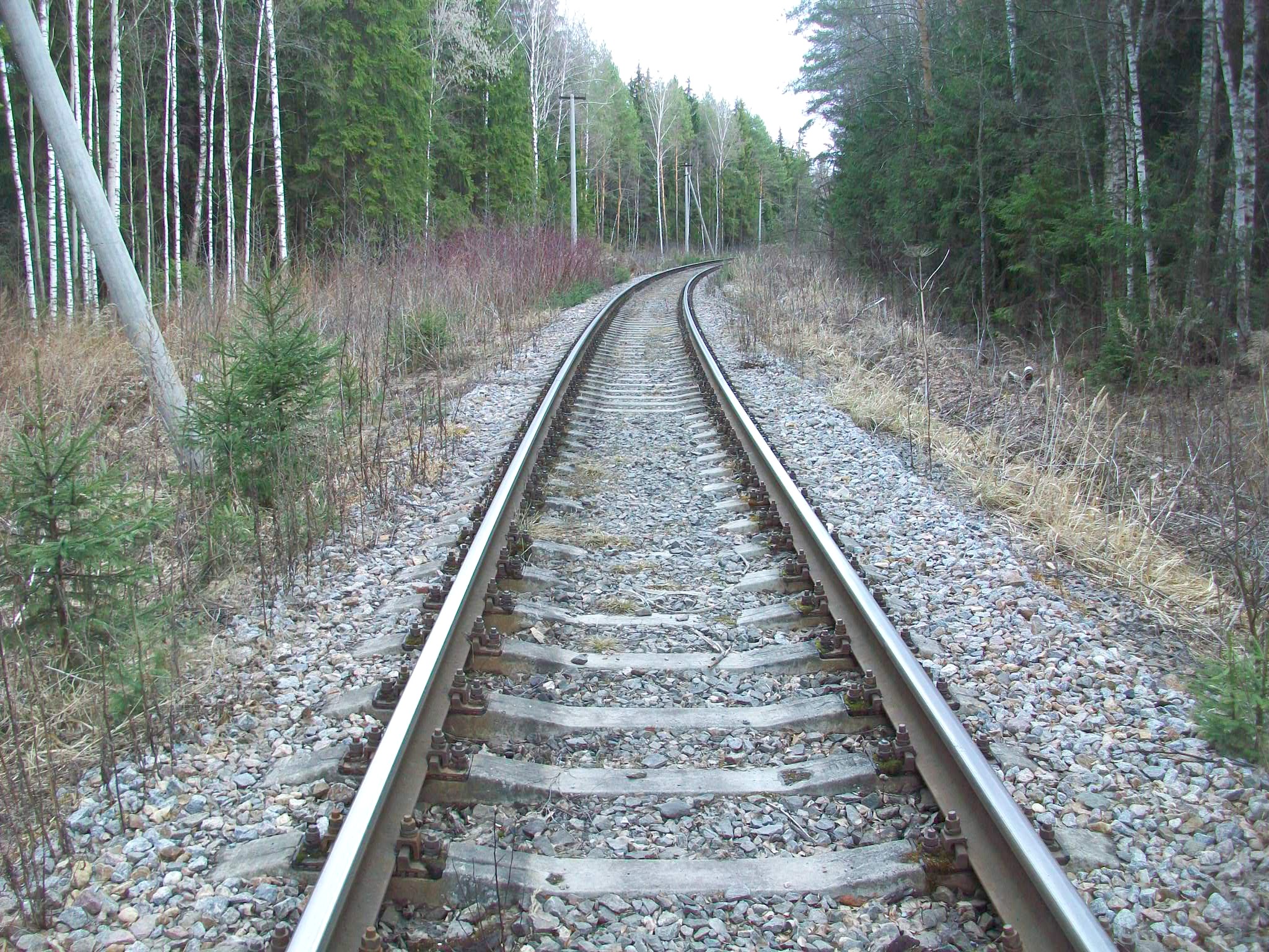 Железнодорожная линия Крюково — Крюково-Грузовое
  —  фотографии, сделанные в 2015 году (часть 2)