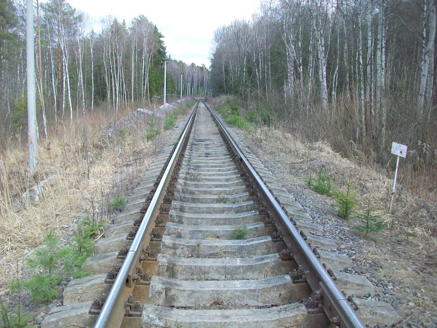 Железнодорожная линия Крюково — Крюково-Грузовое
  —  фотографии, сделанные в 2015 году (часть 3)