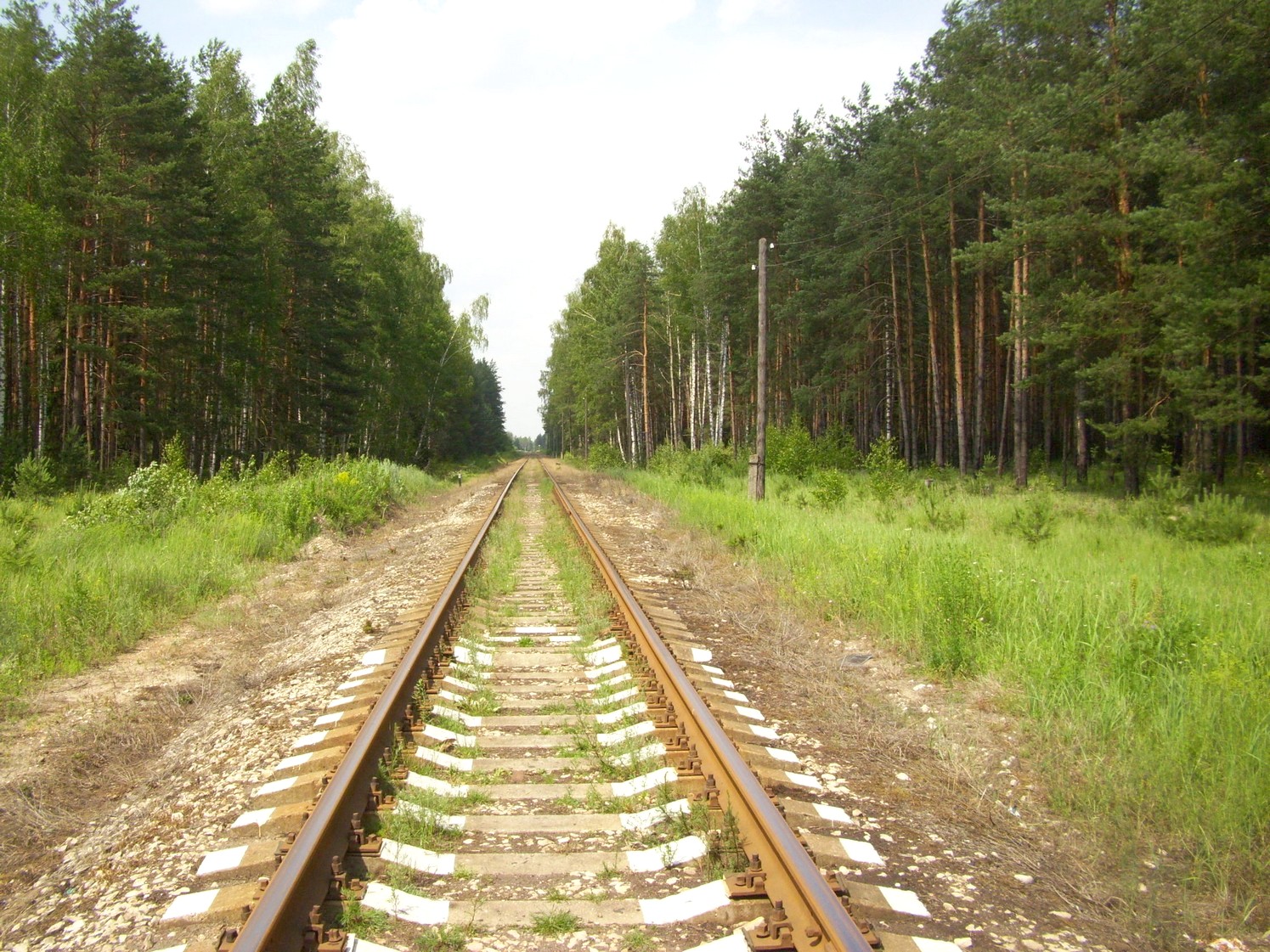 Железнодорожная линия Кривандино  —  Рязановка  —  фотографии, сделанные в 2010 году (часть 6)
