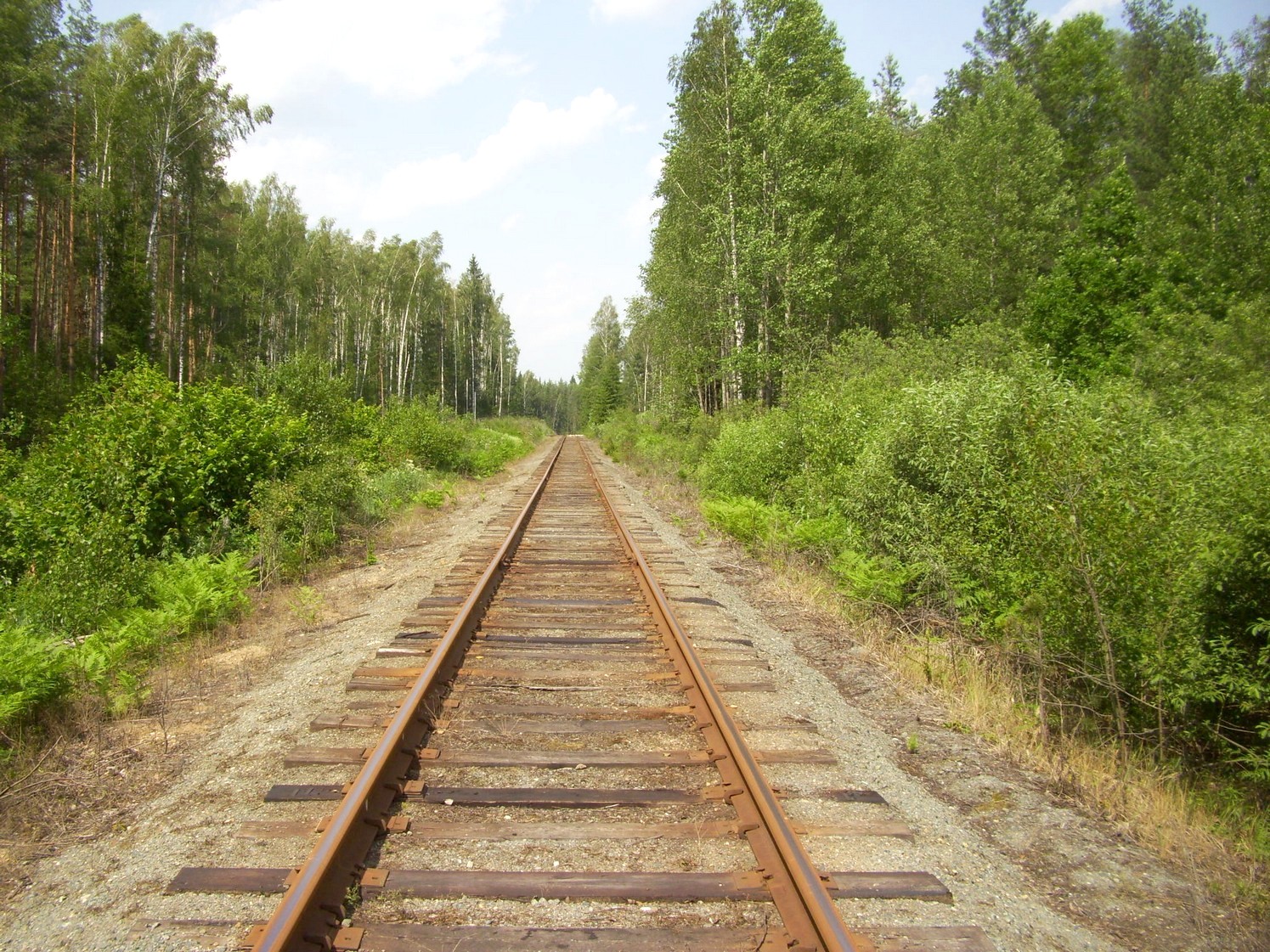 Железнодорожная линия Кривандино  —  Рязановка  —  фотографии, сделанные в 2010 году (часть 8)