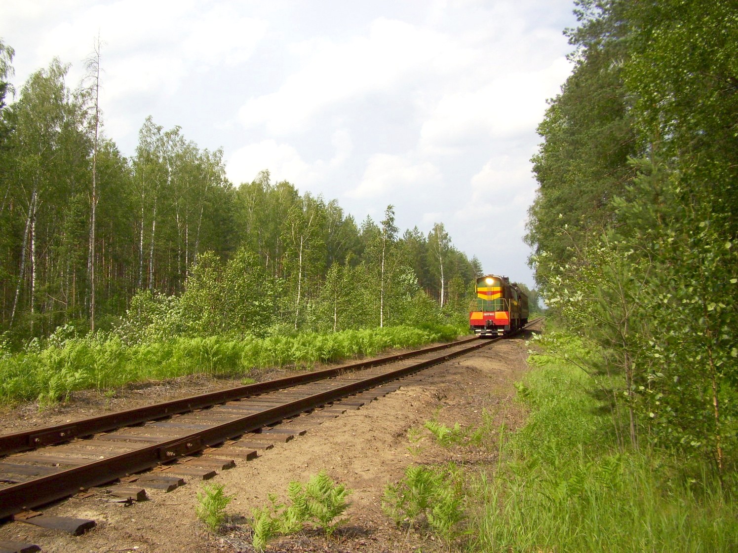 Железнодорожная линия Кривандино  —  Рязановка  —  фотографии, сделанные в 2010 году (часть 9)