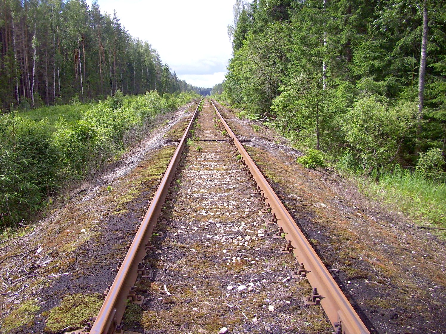 Железнодорожная линия Кривандино  —  Рязановка  —  фотографии, сделанные в 2010 году (часть 11)