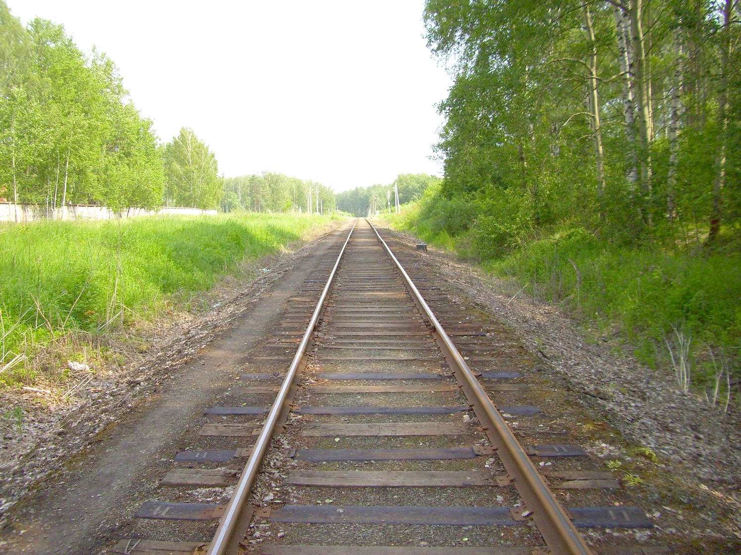 Железнодорожная линия Кривандино  —  Рязановка  —  фотографии, сделанные в 2010 году (часть 2)
