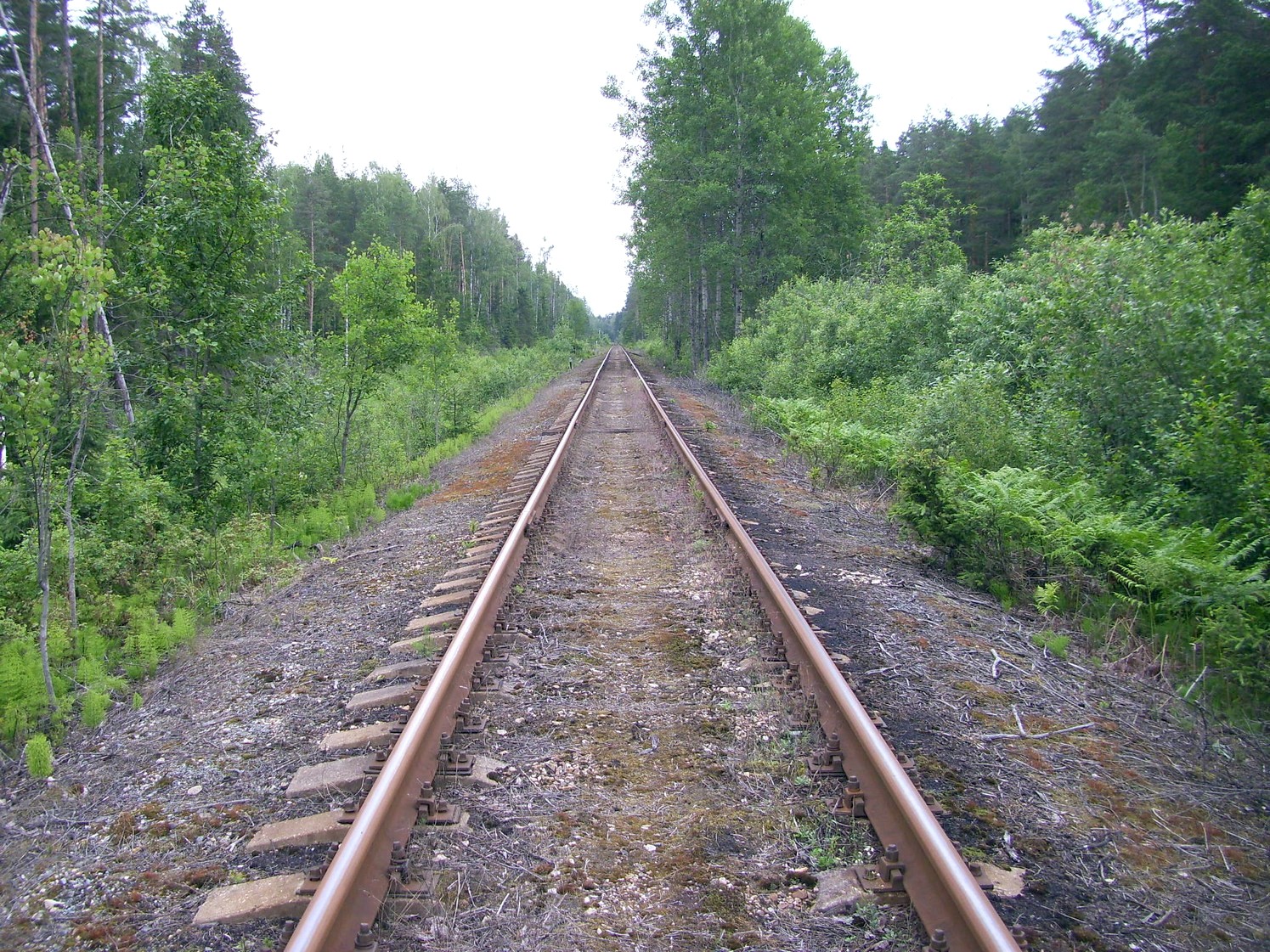 Железнодорожная линия Кривандино  —  Рязановка  —  фотографии, сделанные в 2010 году (часть 12)