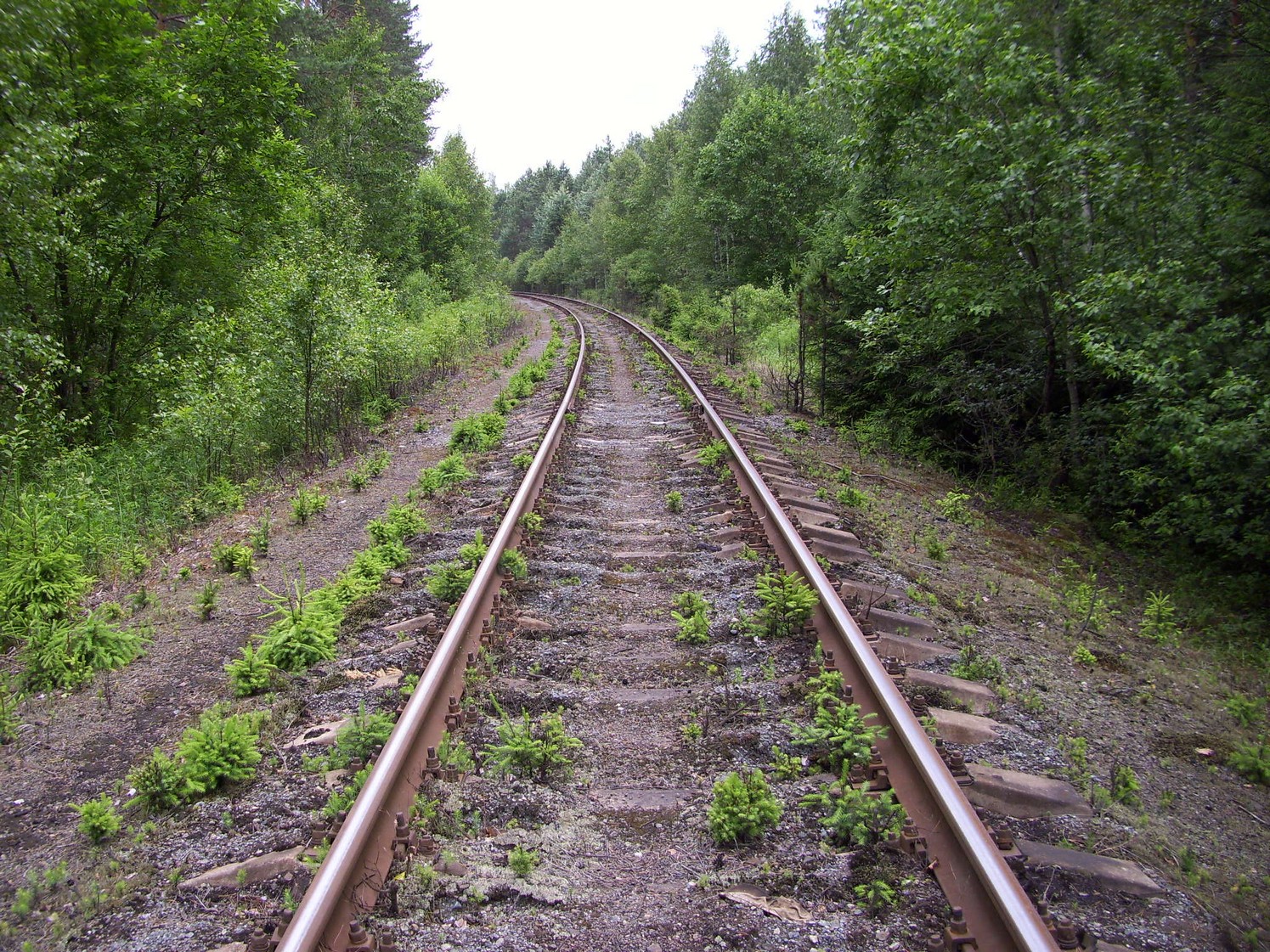 Железнодорожная линия Кривандино  —  Рязановка  —  фотографии, сделанные в 2010 году (часть 13)