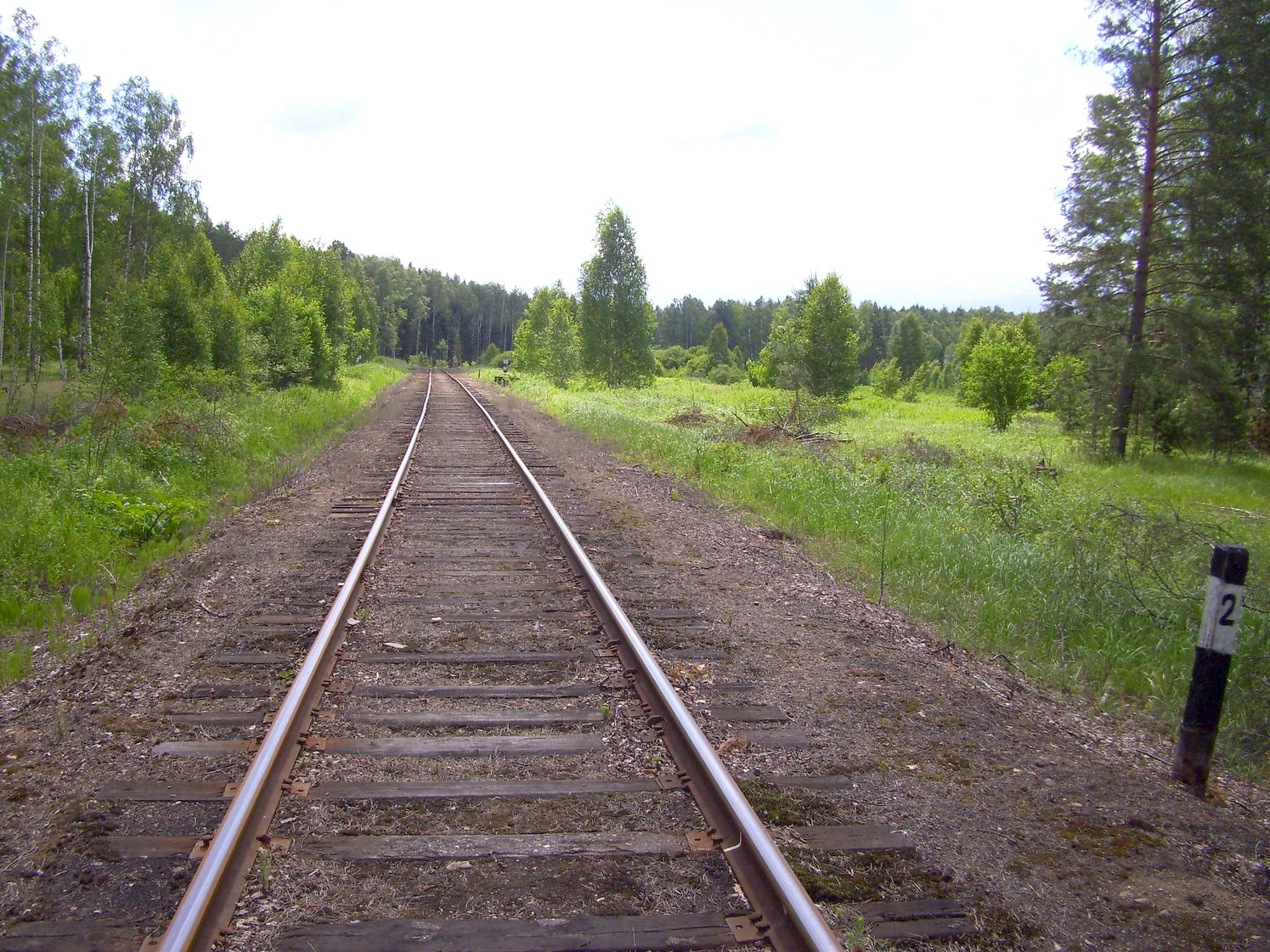 Железнодорожная линия Кривандино  —  Рязановка  —  фотографии, сделанные в 2010 году (часть 15)
