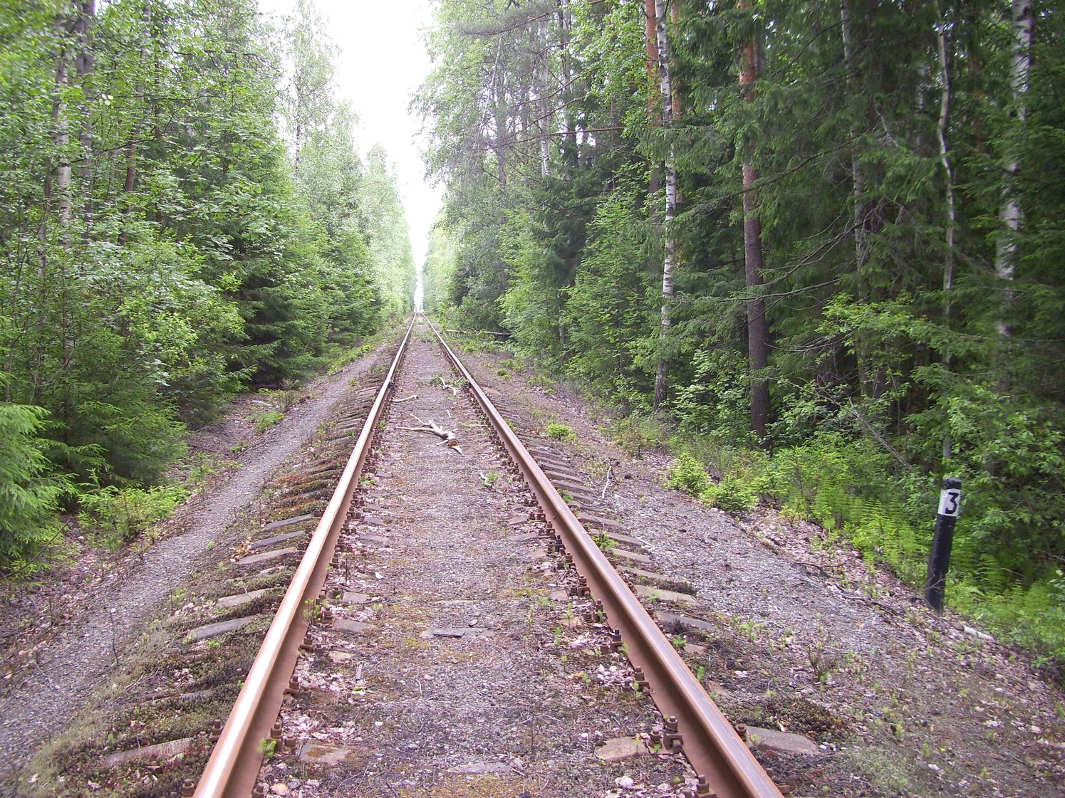Железнодорожная линия Кривандино  —  Рязановка  —  фотографии, сделанные в 2010 году (часть 16)