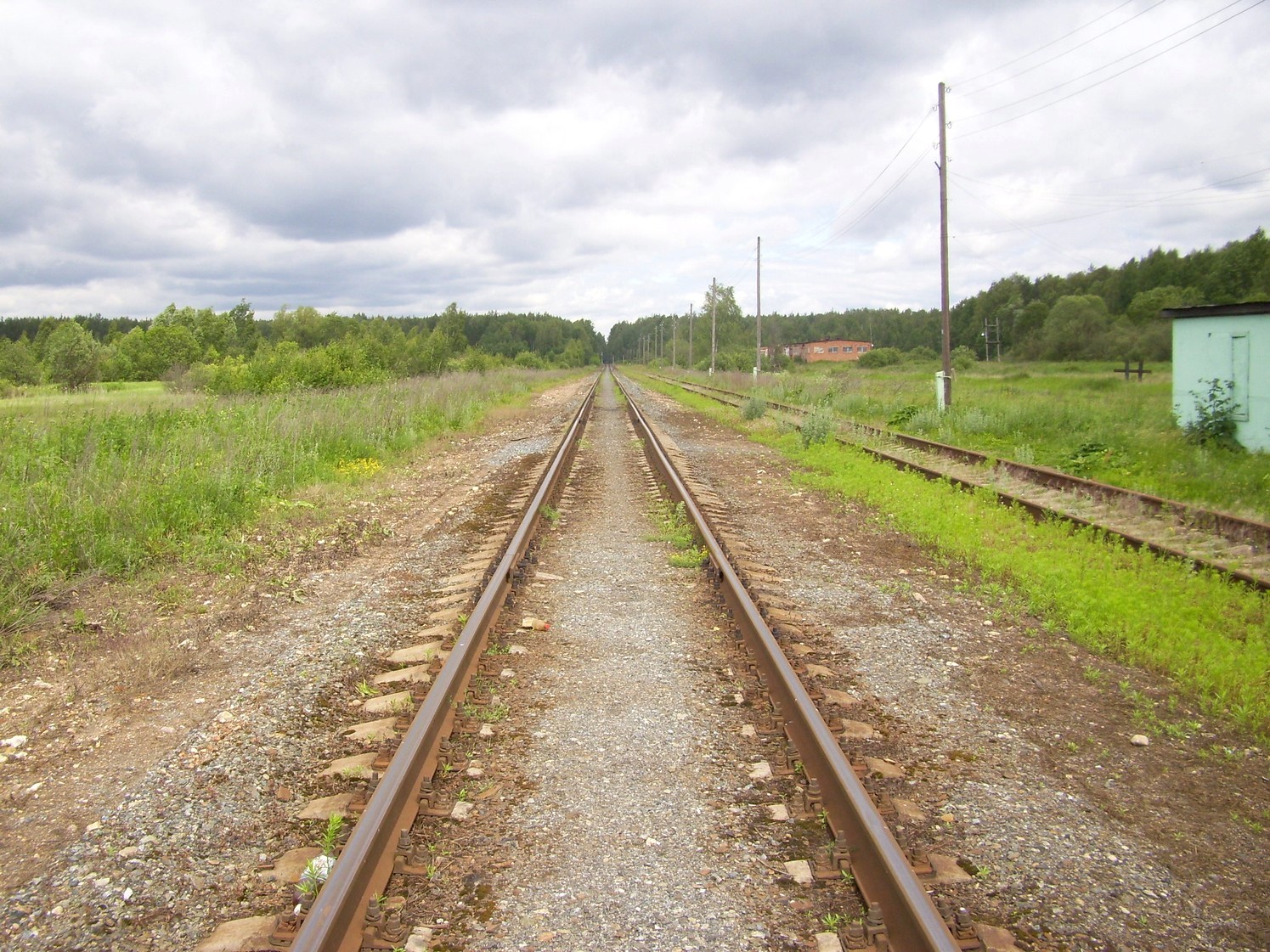 Железнодорожная линия Кривандино  —  Рязановка  —  фотографии, сделанные в 2010 году (часть 18)