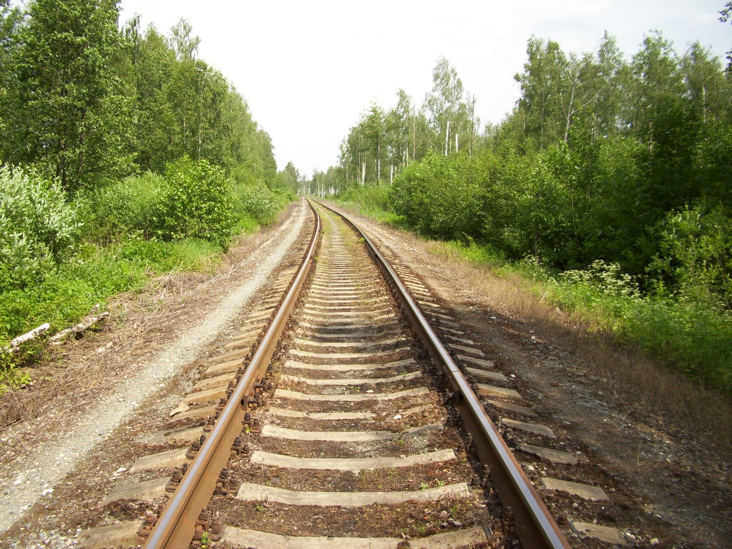 Железнодорожная линия Кривандино  —  Рязановка  —  фотографии, сделанные в 2010 году (часть 3)