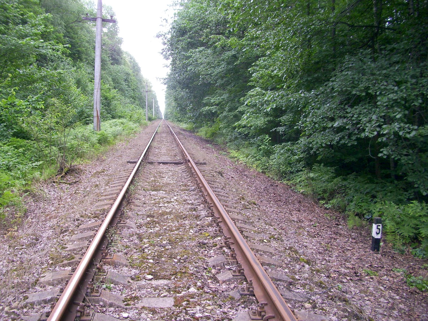 Железнодорожная линия Кривандино  —  Рязановка  —  фотографии, сделанные в 2010 году (часть 25)