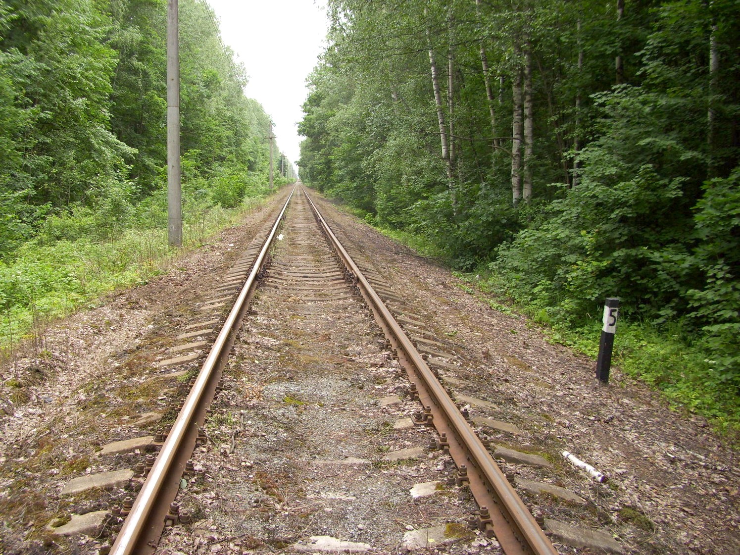 Железнодорожная линия Кривандино  —  Рязановка  —  фотографии, сделанные в 2010 году (часть 26)