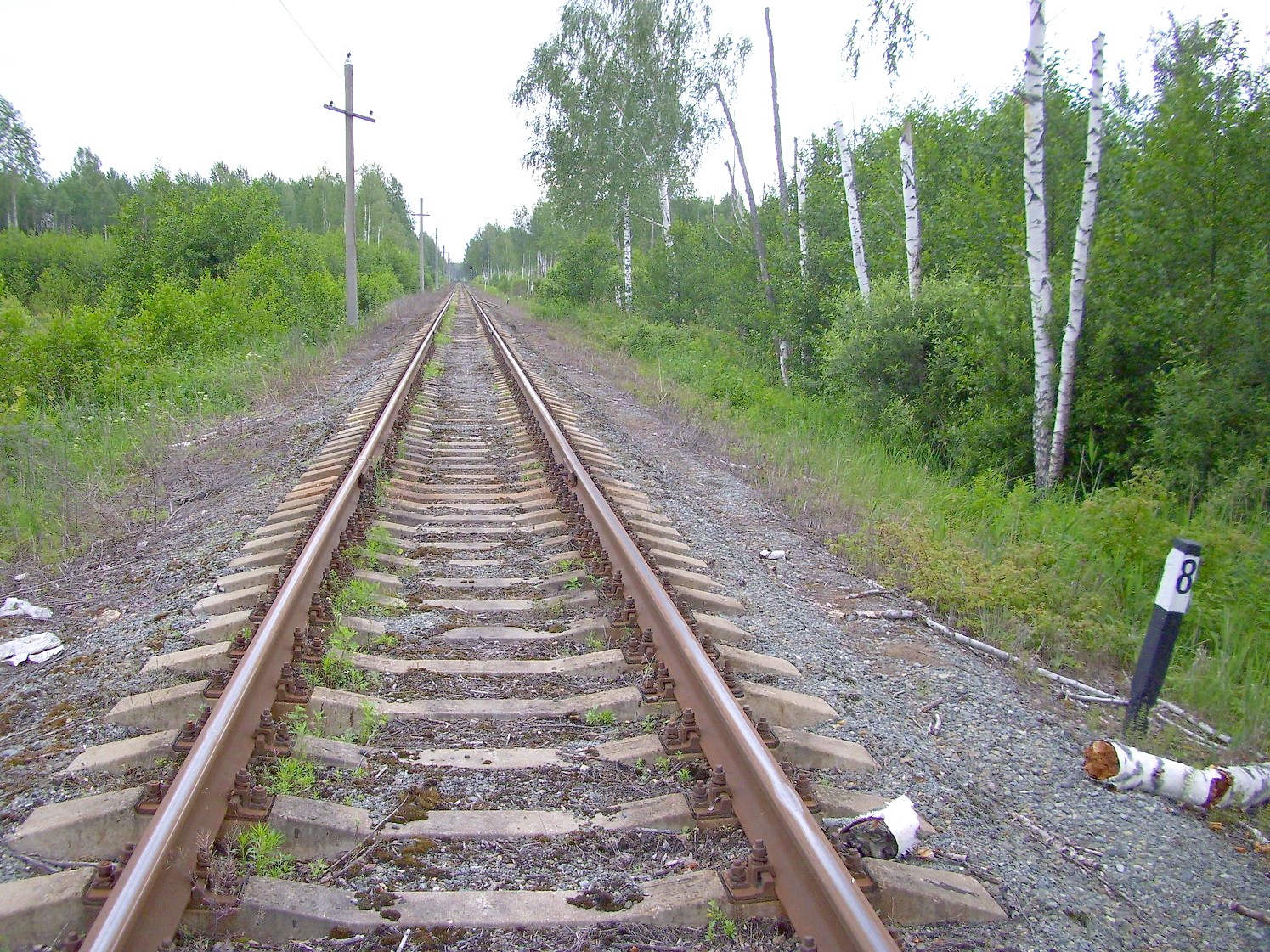 Железнодорожная линия Кривандино  —  Рязановка  —  фотографии, сделанные в 2010 году (часть 27)