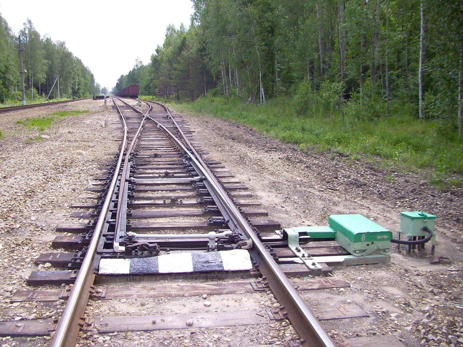 Железнодорожная линия Кривандино  —  Рязановка  —  фотографии, сделанные в 2010 году (часть 28)