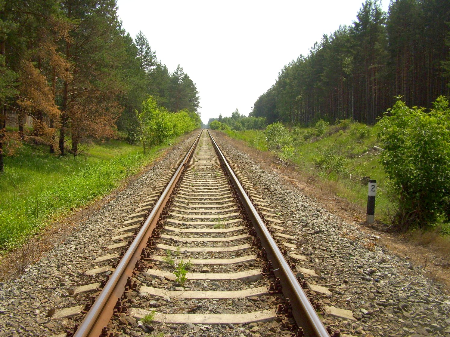 Железнодорожная линия Кривандино  —  Рязановка  —  фотографии, сделанные в 2010 году (часть 5)