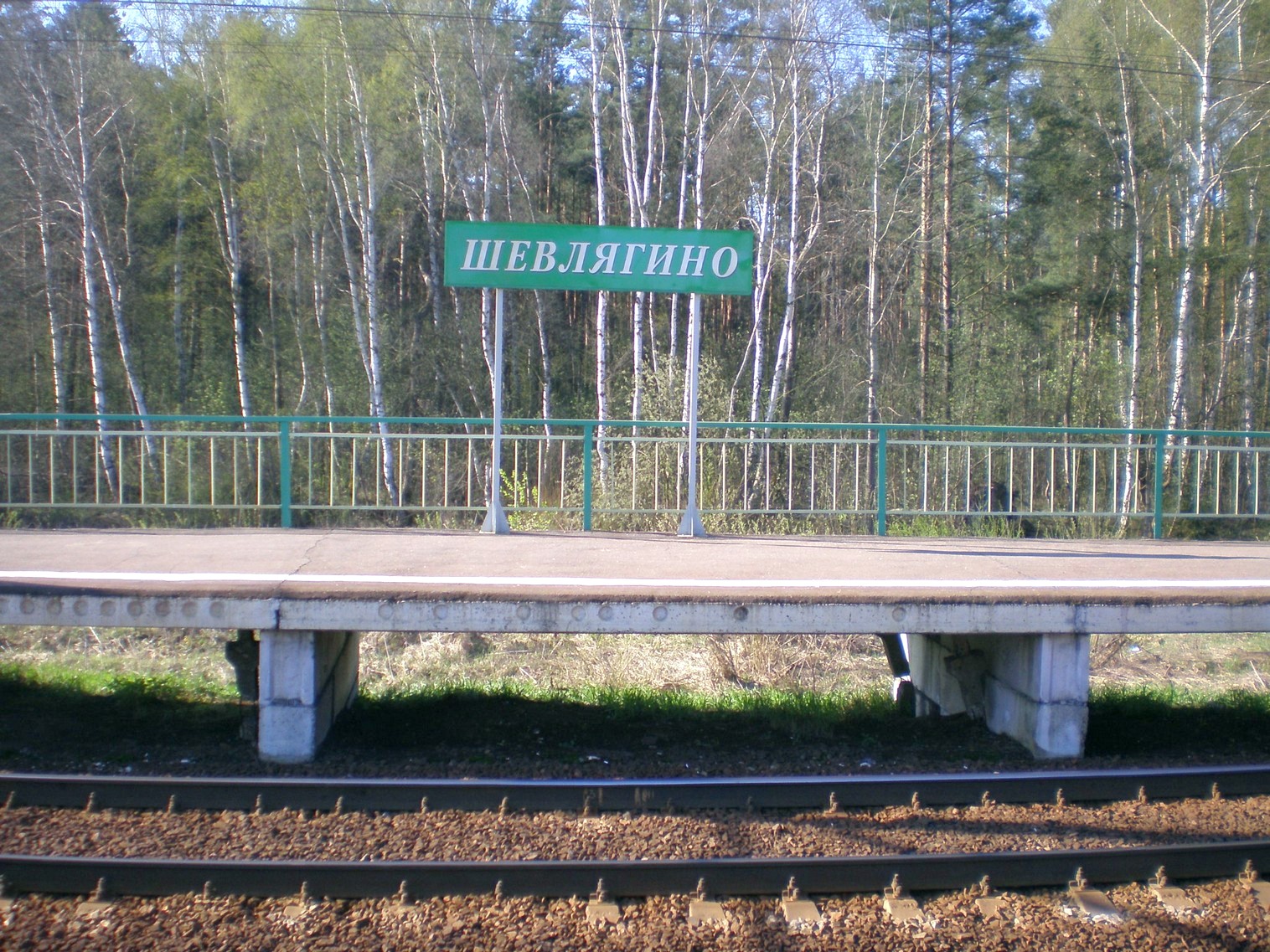 Люберцы-Арзамасская   железнодорожная линия на территории Московской области  — остановочный пункт Шевлягино