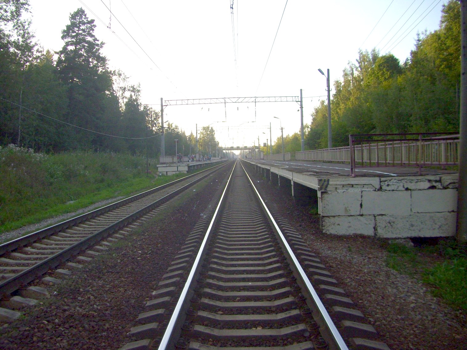 Петербурго-Московская железнодорожная линия на территории Московской области  — о.п. Радищево