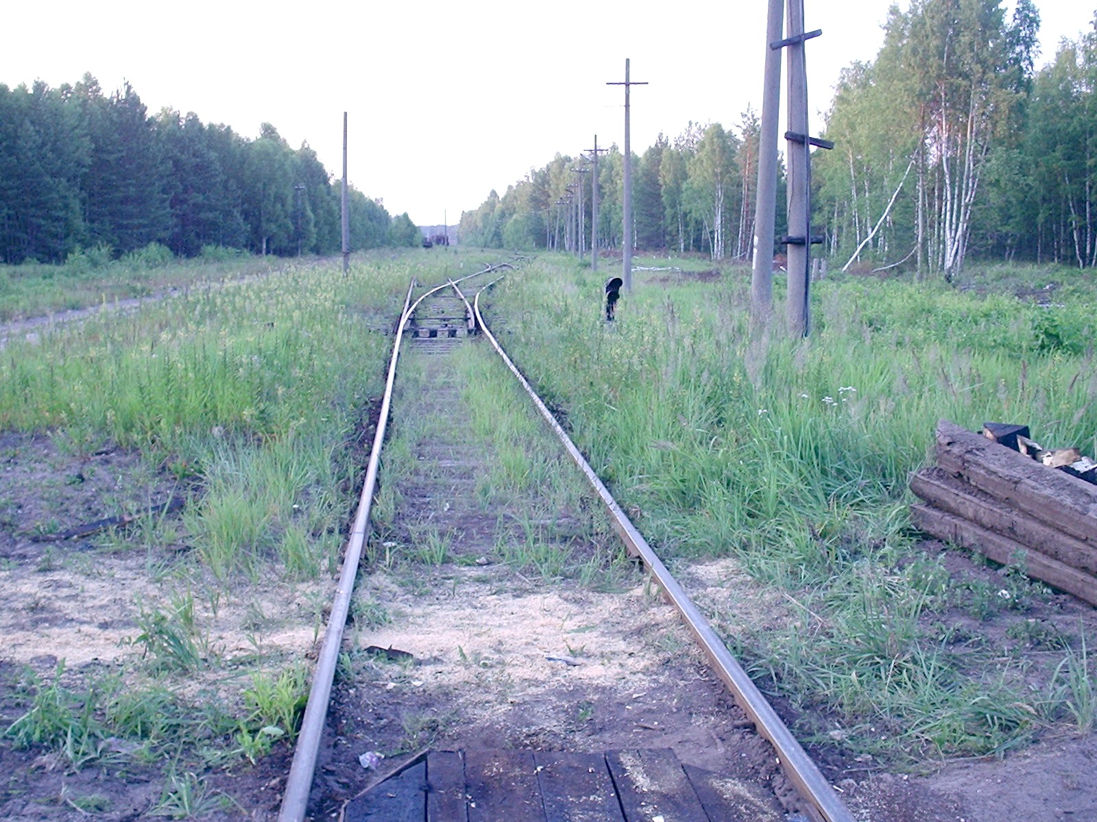 Железнодорожная линия Сазоново — Пилево  —  фотографии, сделанные в 2006 году (часть 1)