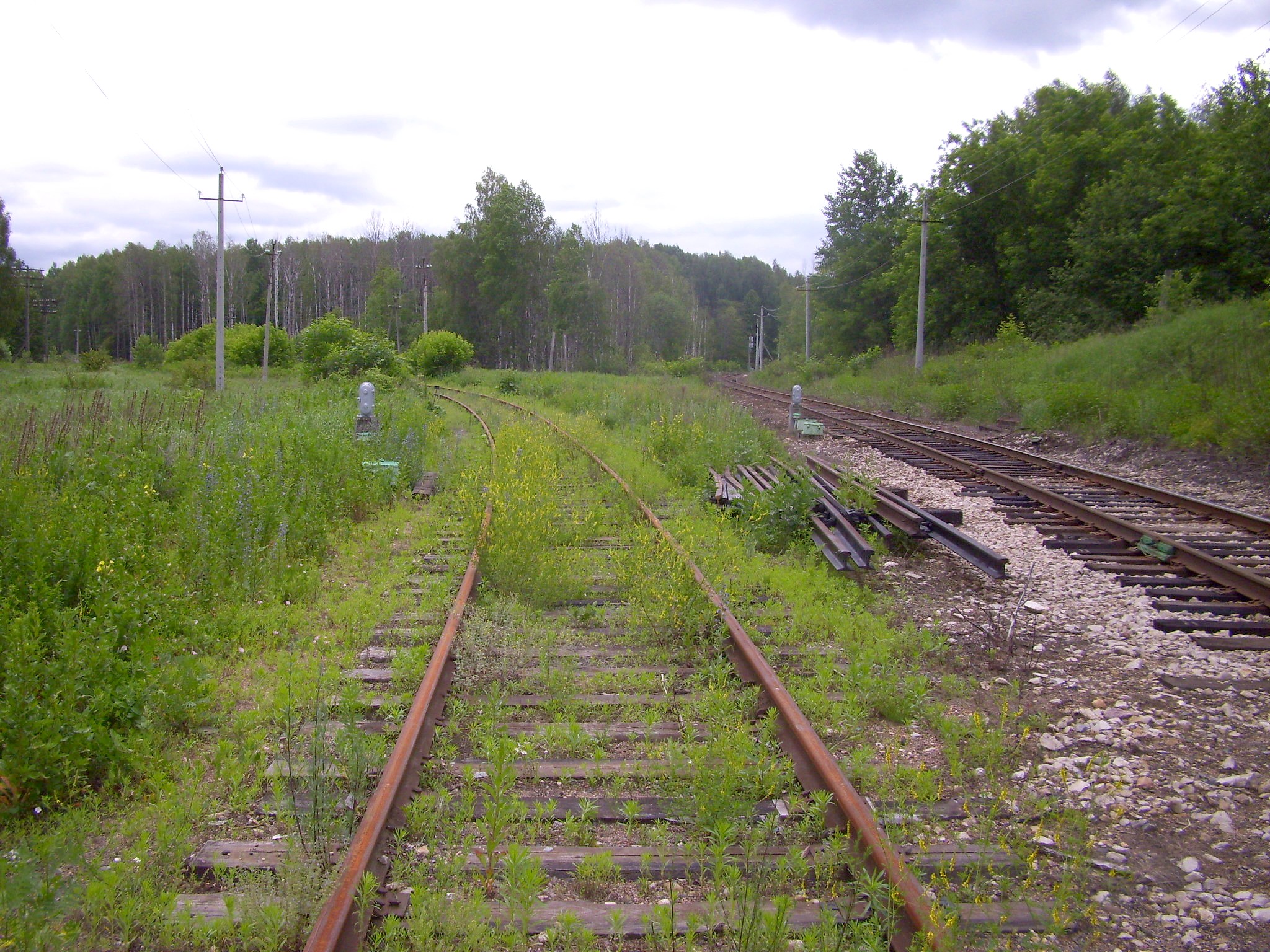 Железнодорожная линия Сазоново — Пилево  —  фотографии, сделанные в 2010 году