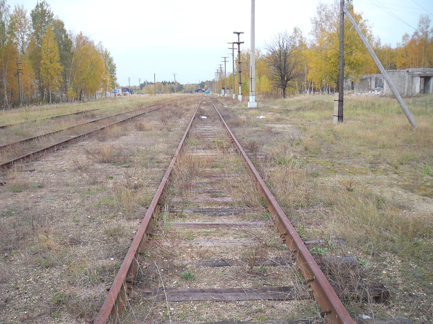 Железнодорожная линия Сазоново — Пилево — фотографии, сделанные в 2012 году (часть 6)