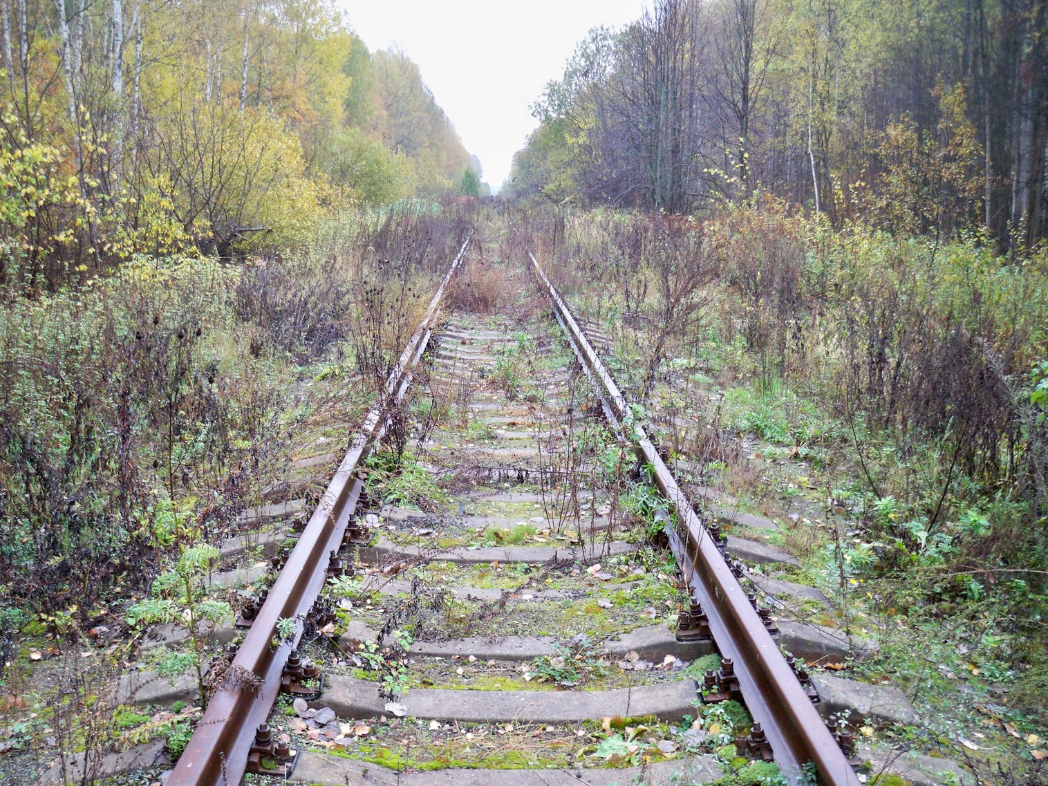 Железнодорожная линия Сазоново — Пилево — фотографии, сделанные в 2012 году (часть 2)