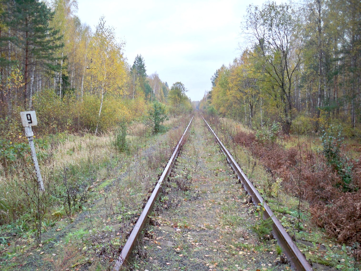 Железнодорожная линия Сазоново — Пилево — фотографии, сделанные в 2012 году (часть 5)