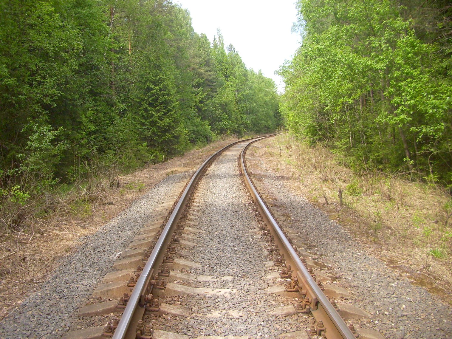 Железнодорожная линия Ногинского ППЖТ (Ногинск   —  Черноголовка) —  фотографии, сделанные в 2010 году (часть 7)