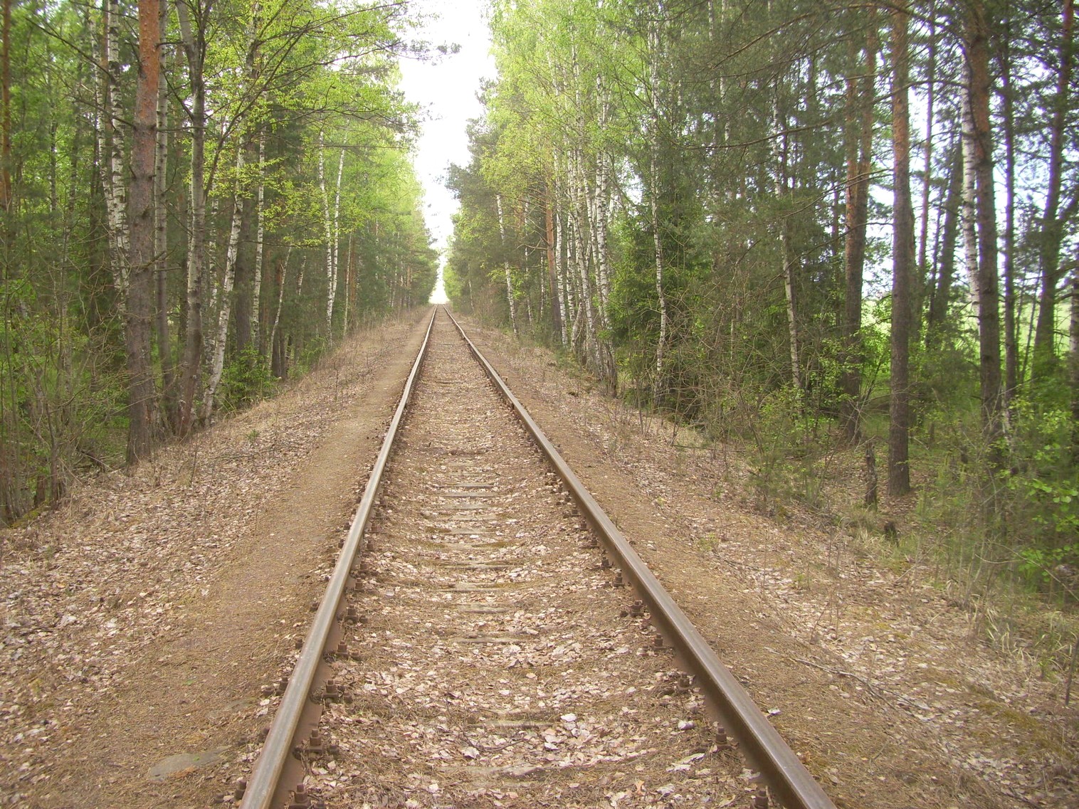 Железнодорожная линия Ногинского ППЖТ (Ногинск   —  Черноголовка) —  фотографии, сделанные в 2010 году (часть 8)