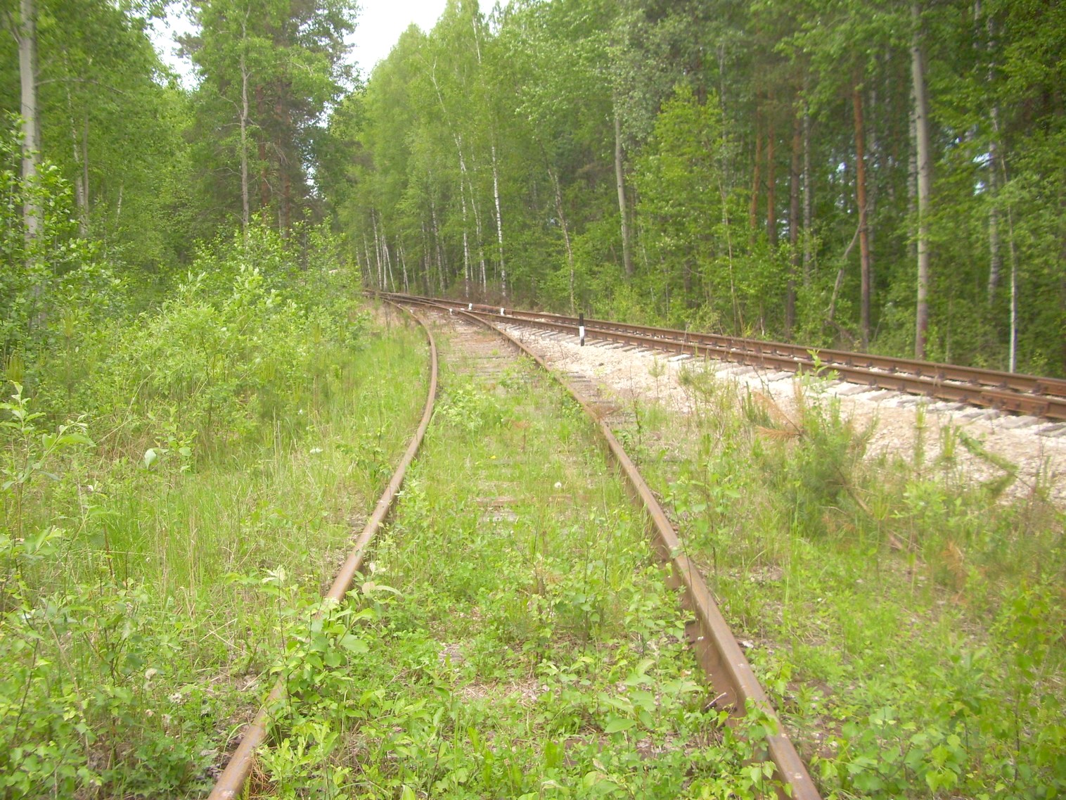 Железнодорожная линия Ногинского ППЖТ (Ногинск   —  Черноголовка) —  фотографии, сделанные в 2010 году (часть 9)