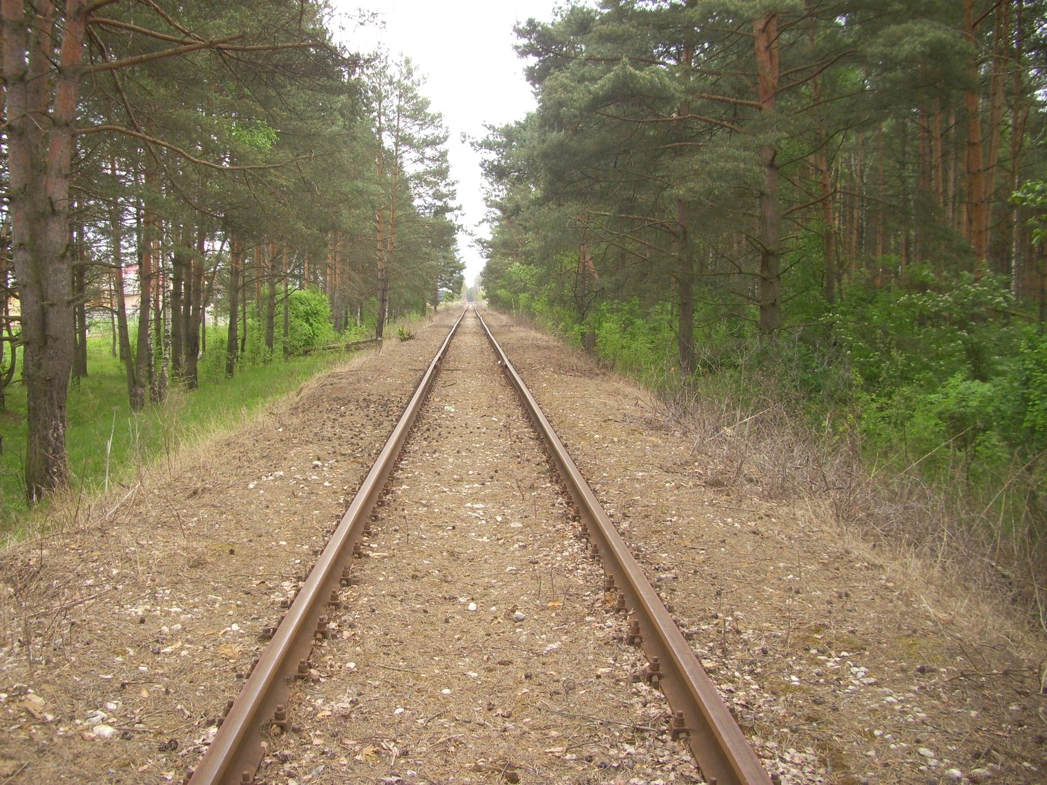 Железнодорожная линия Ногинского ППЖТ (Ногинск   —  Черноголовка) —  фотографии, сделанные в 2010 году (часть 10)