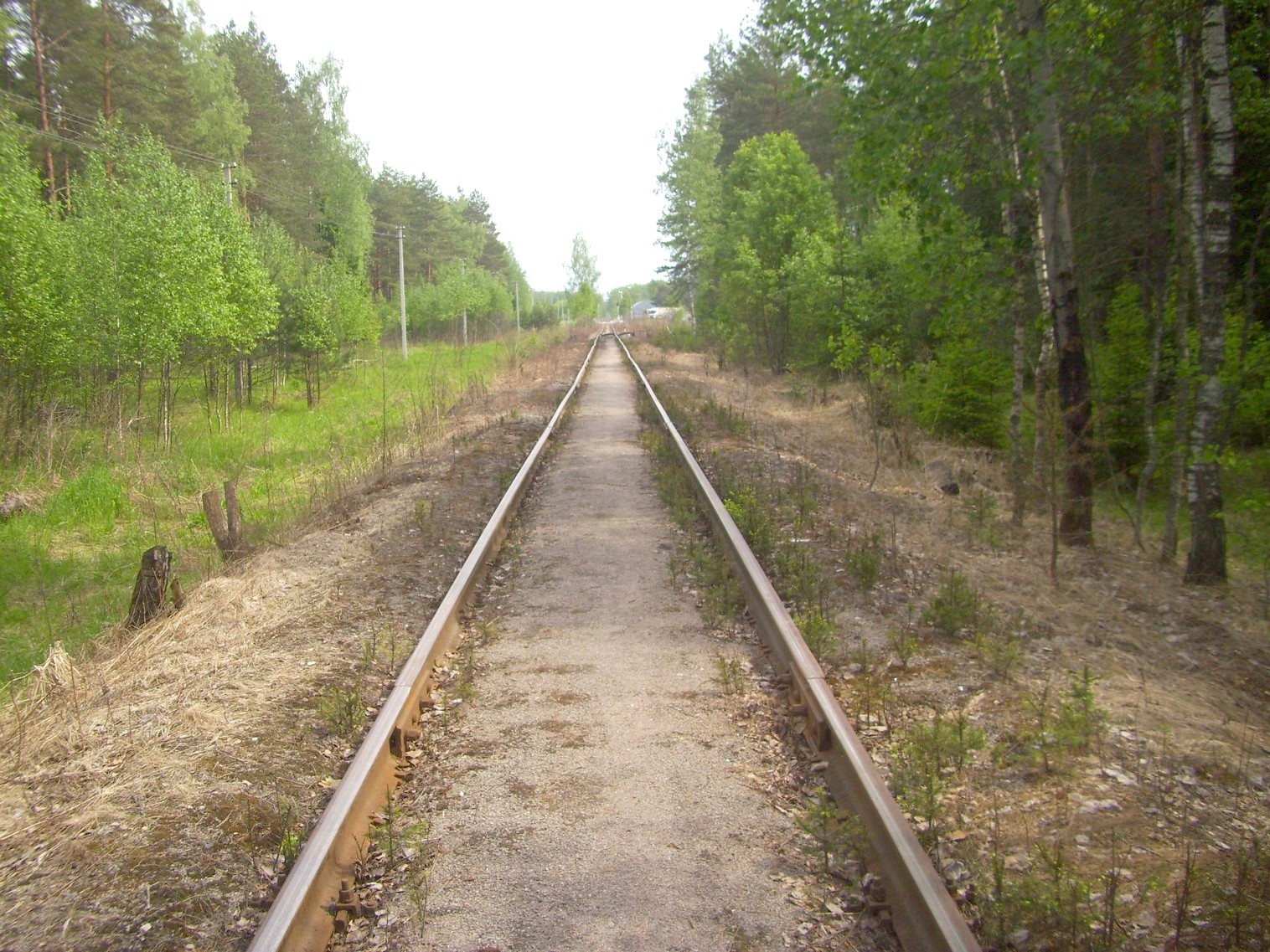Железнодорожная линия Ногинского ППЖТ (Ногинск   —  Черноголовка) —  фотографии, сделанные в 2010 году (часть 12)
