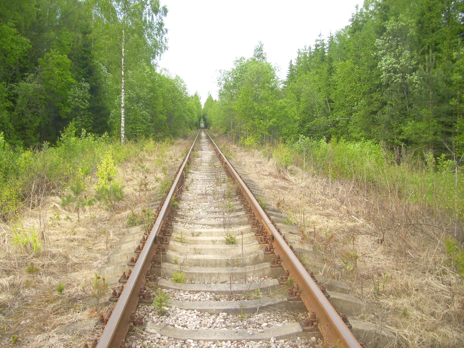 Железнодорожная линия Ногинского ППЖТ (Ногинск   —  Черноголовка) —  фотографии, сделанные в 2010 году (часть 15)